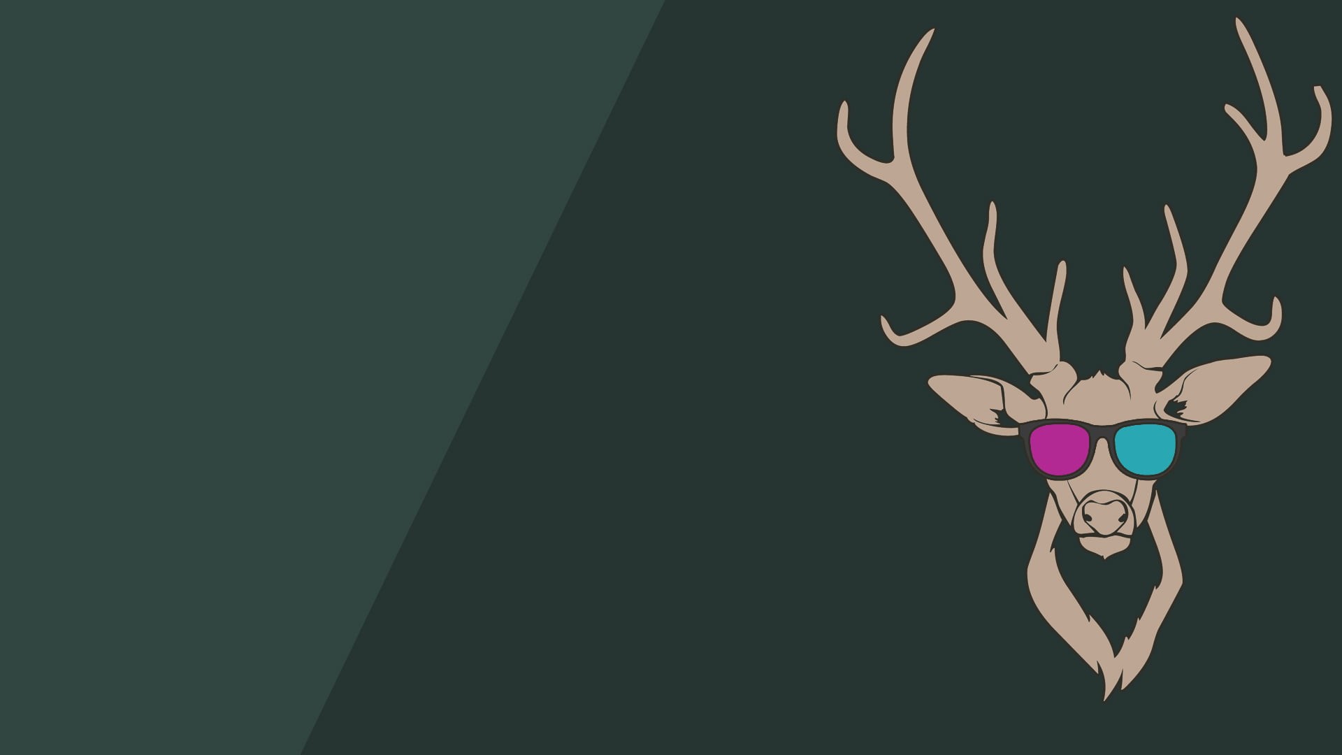 1080P, minimalism, antlers, deer, green background, glasses, simple background, HD Wallpaper