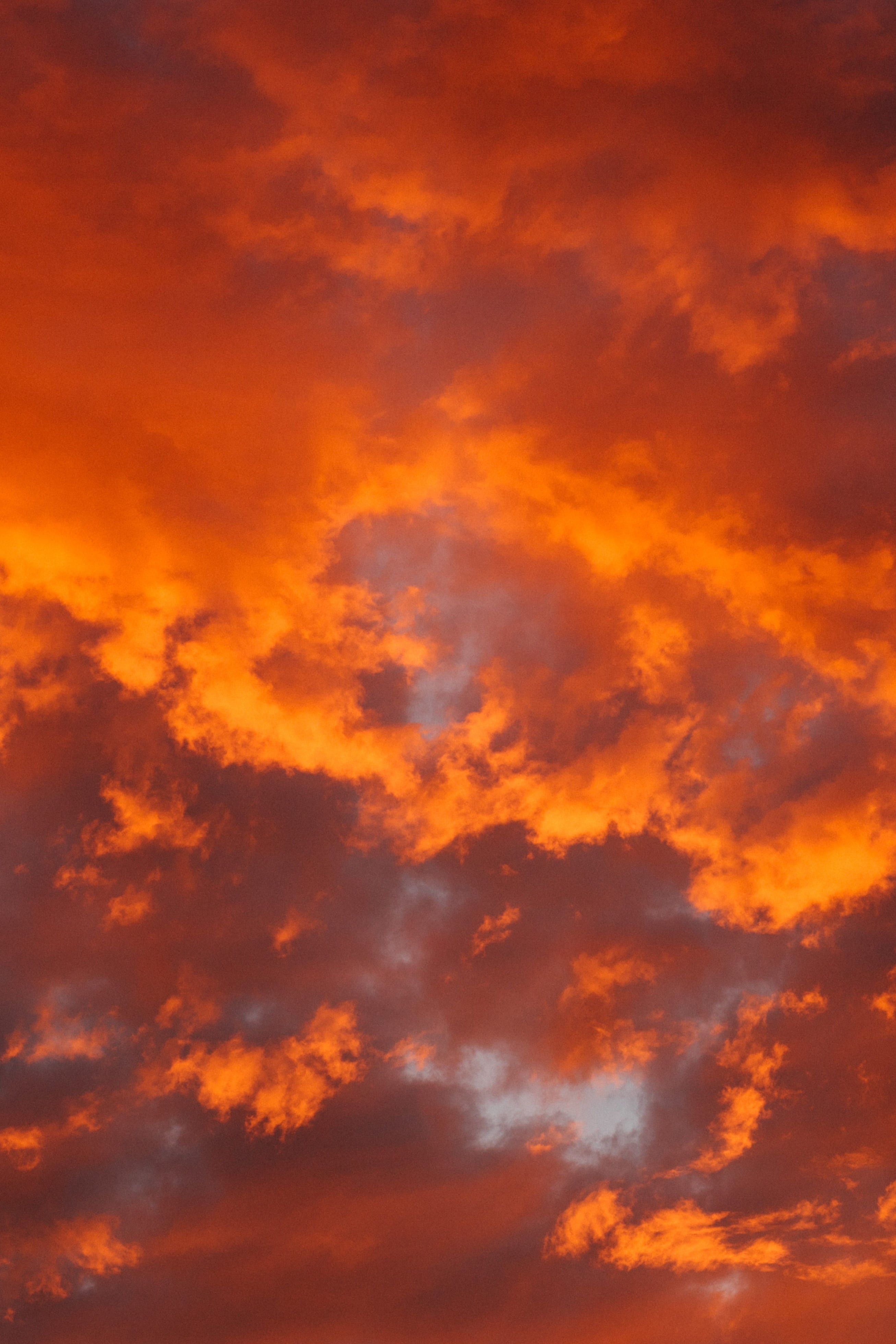 low angle view, orange, nature, orange color, full frame, majestic, 4K, romantic sky, cloud - sky, idyllic, sky, no people, clouds, tranquility, meteorology, Phone HD Wallpaper