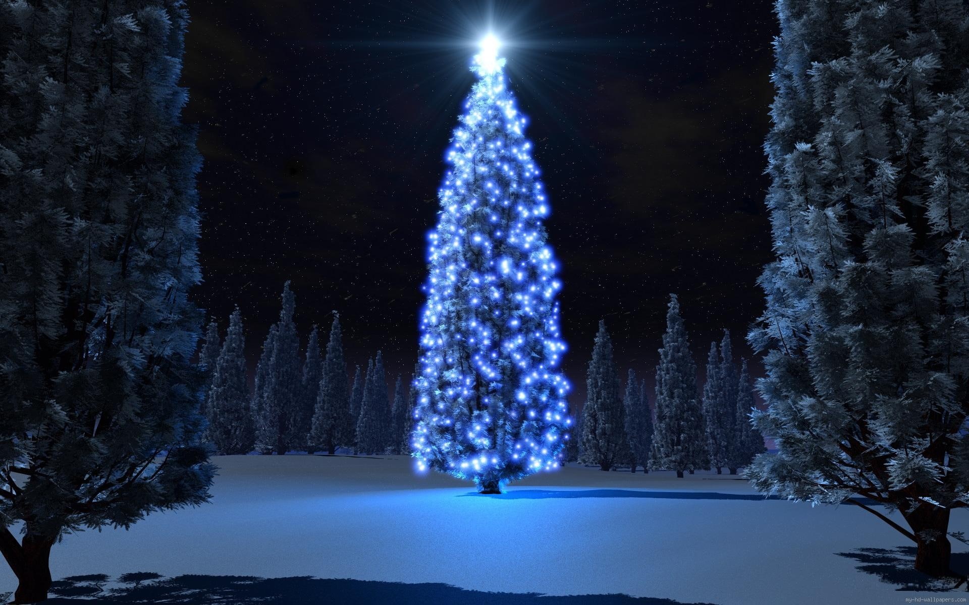 giant, snow, blue, tree, holidays, winter, lights, christmas, 1080P, HD Wallpaper