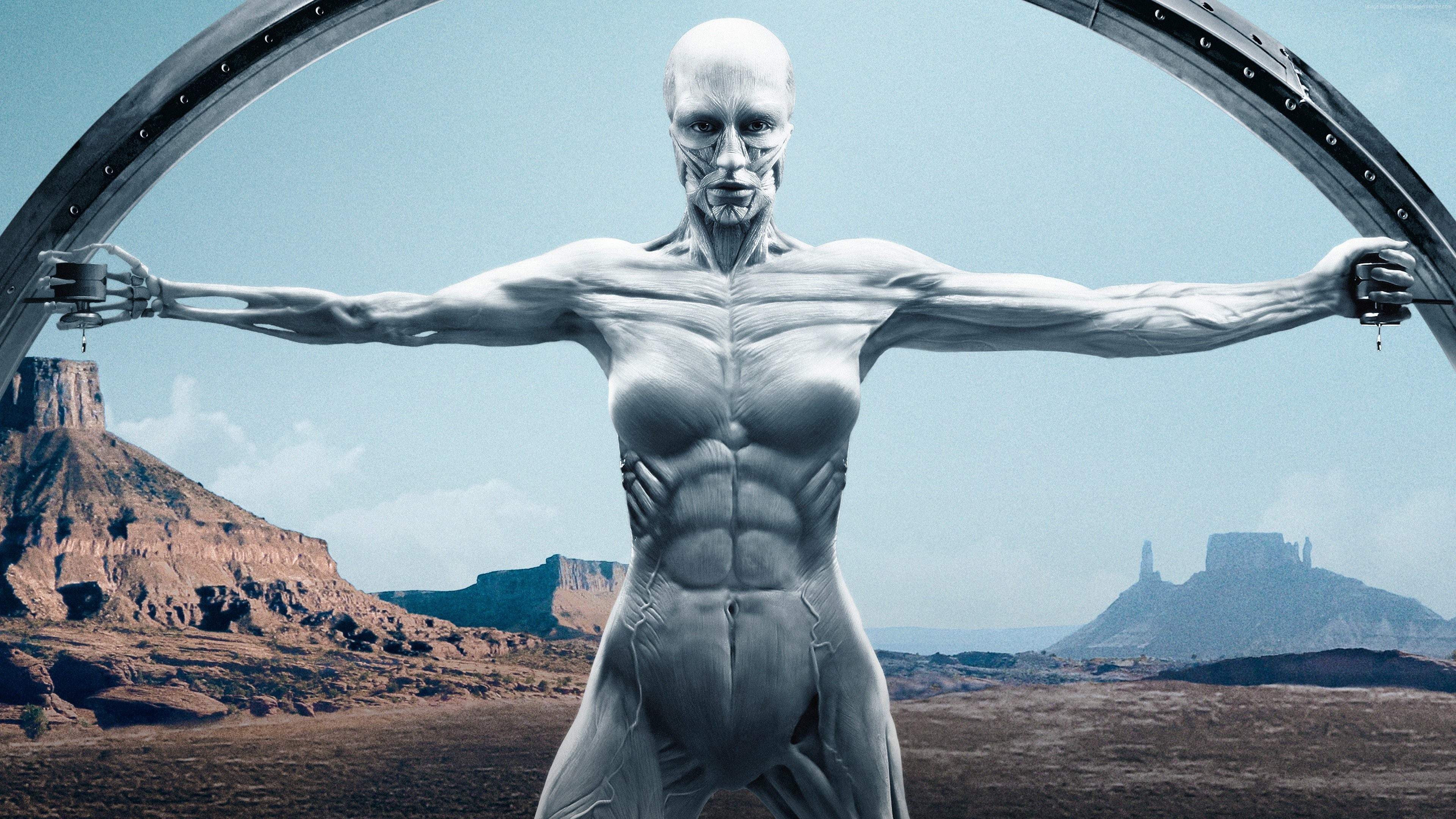 4K, 4K, Westworld Season 2, TV Series, HD Wallpaper