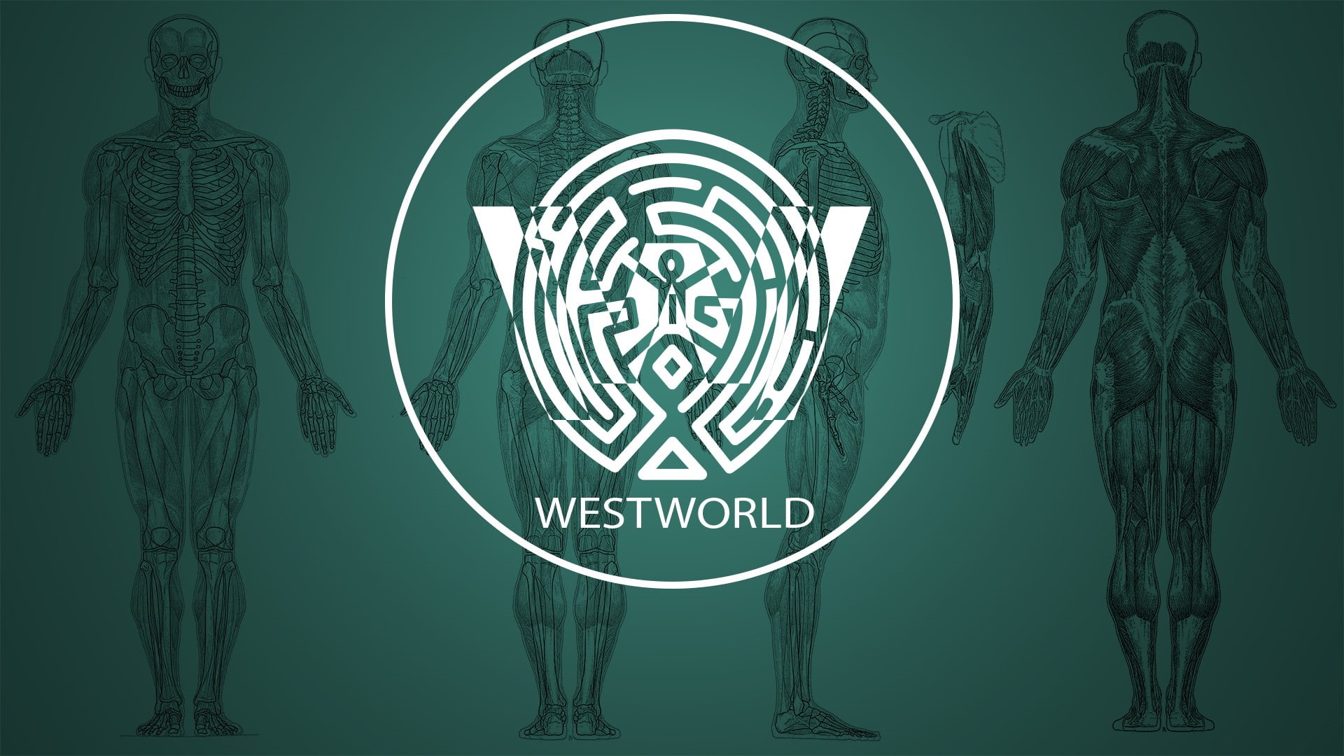1080P, TV Show, Westworld, HD Wallpaper