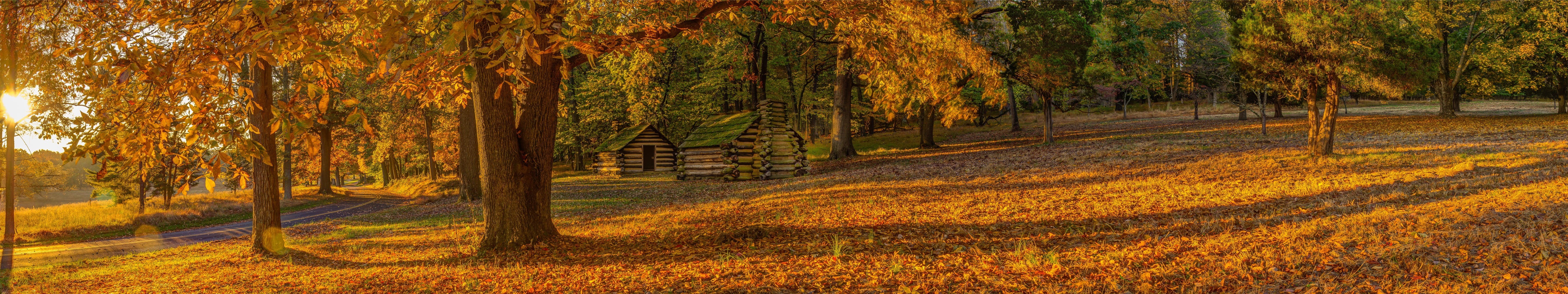5K, no people, tree, land, plantation, fall, grass, beauty in nature, tranquil scene, scenics - nature, hut, nature, coniferous tree, autumn, plant, outdoors, HD Wallpaper