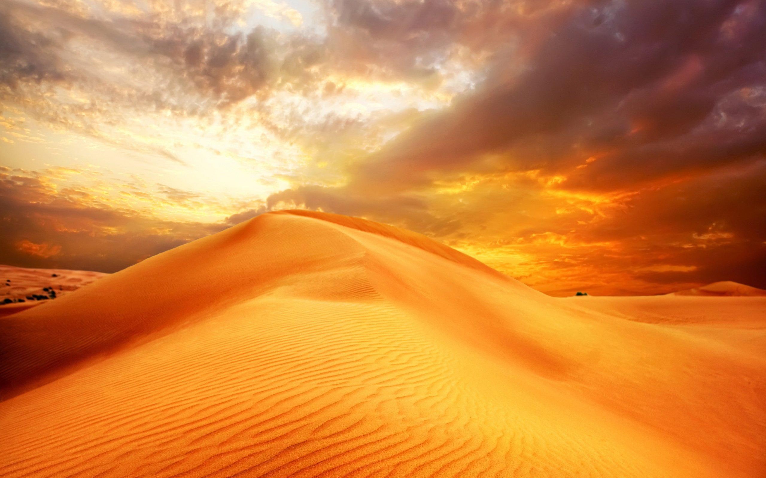 desert, nature, sand, hd, landscape, sky, dune, clouds, 2K, sunrise, deserts, HD Wallpaper