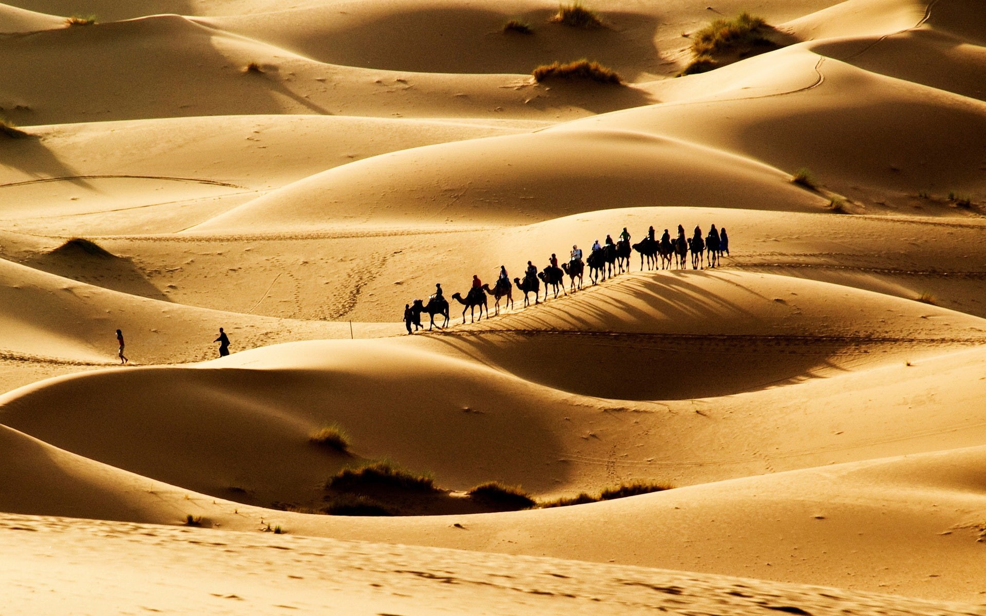 Sand, Desert, Hot, 1080P, Dunes, caravan, HD Wallpaper