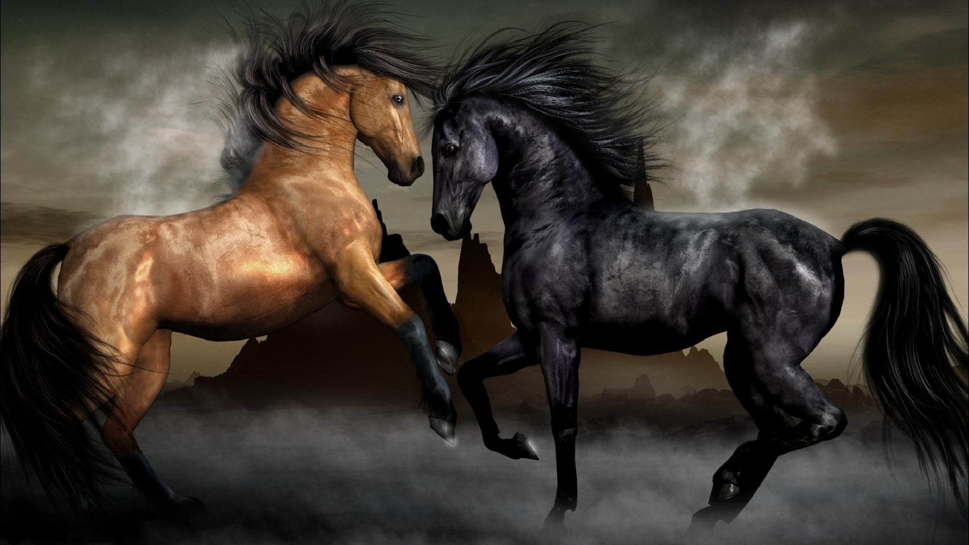 horses, abstract, black horses, horse, horses fighting, animals, vs, 1080P, brown horses, evil, good, HD Wallpaper