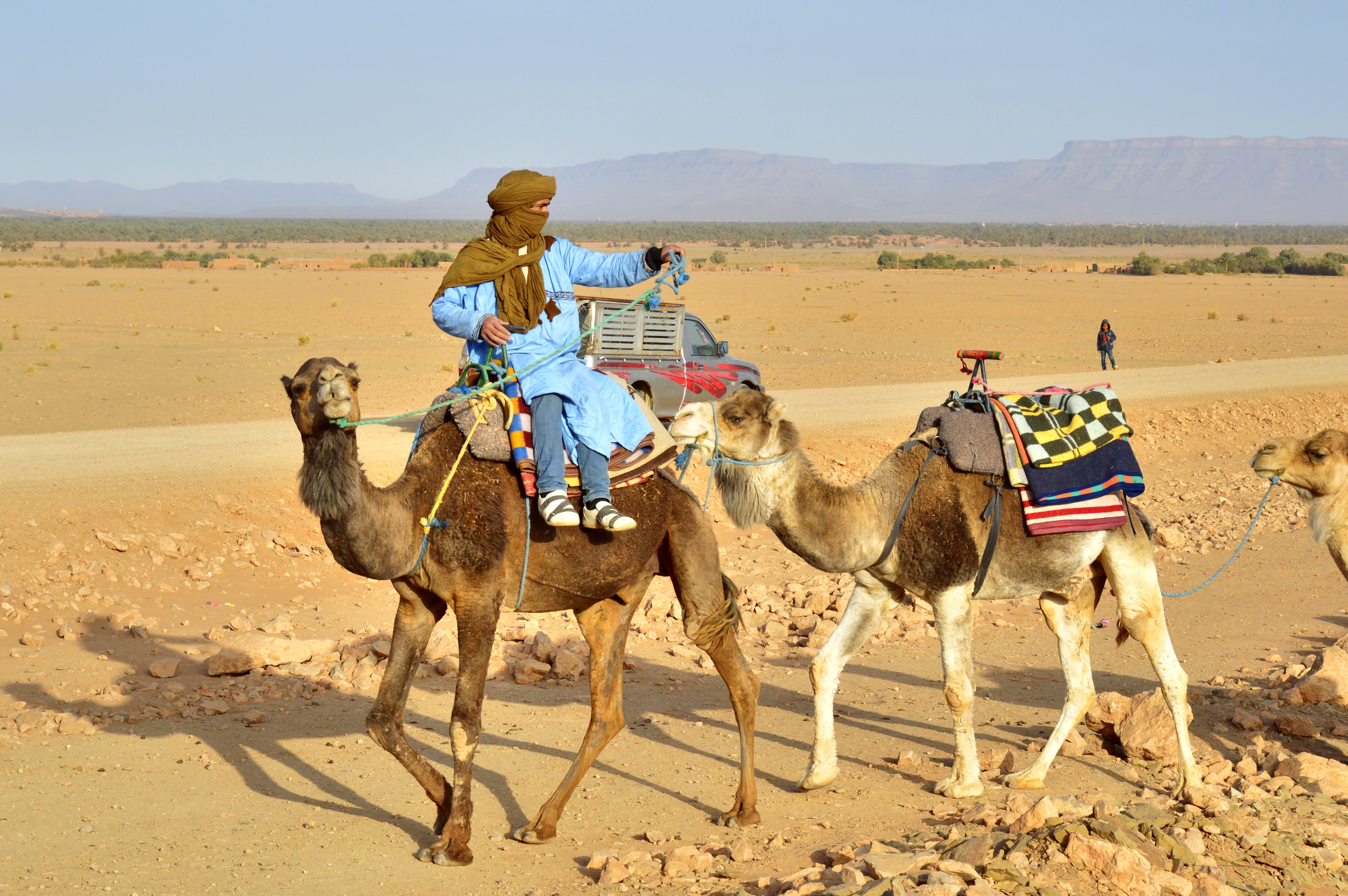 sand Dune, riding, dune, men, land, camel, vacations, pets, domestic animals, another, group of animals, adult, morocco, sahara, man, sahara Desert, rajasthan, HD Wallpaper