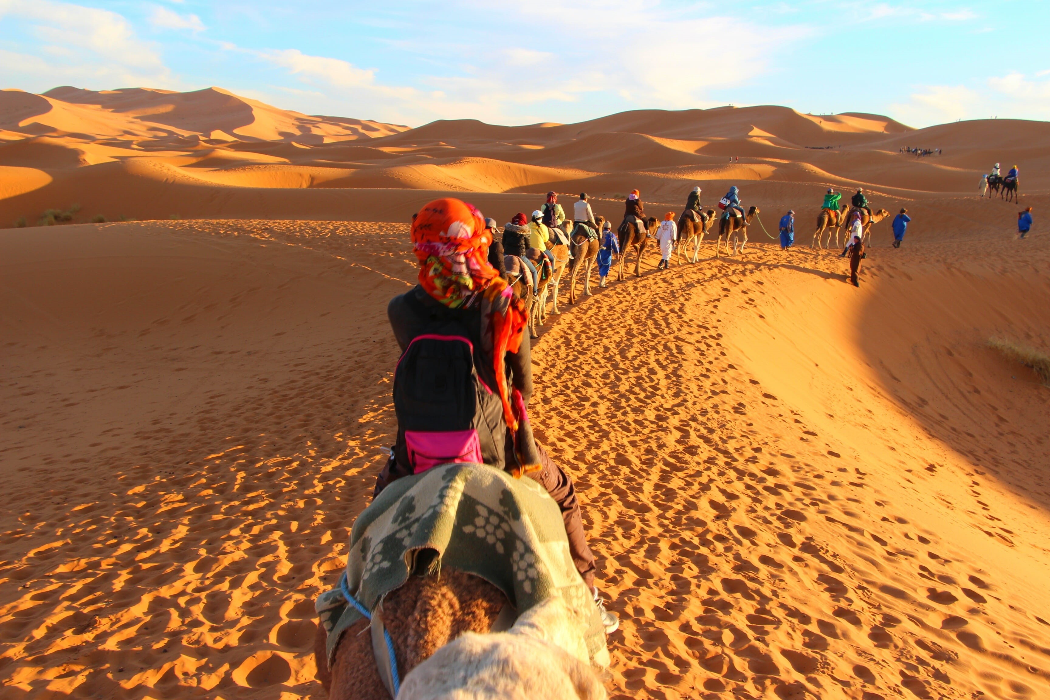 lifestyles, camels, landscape, morocco, group of people, 2K, sand, women, scenics - nature, together, sky, sahara, sand dune, nature, leisure activity, HD Wallpaper