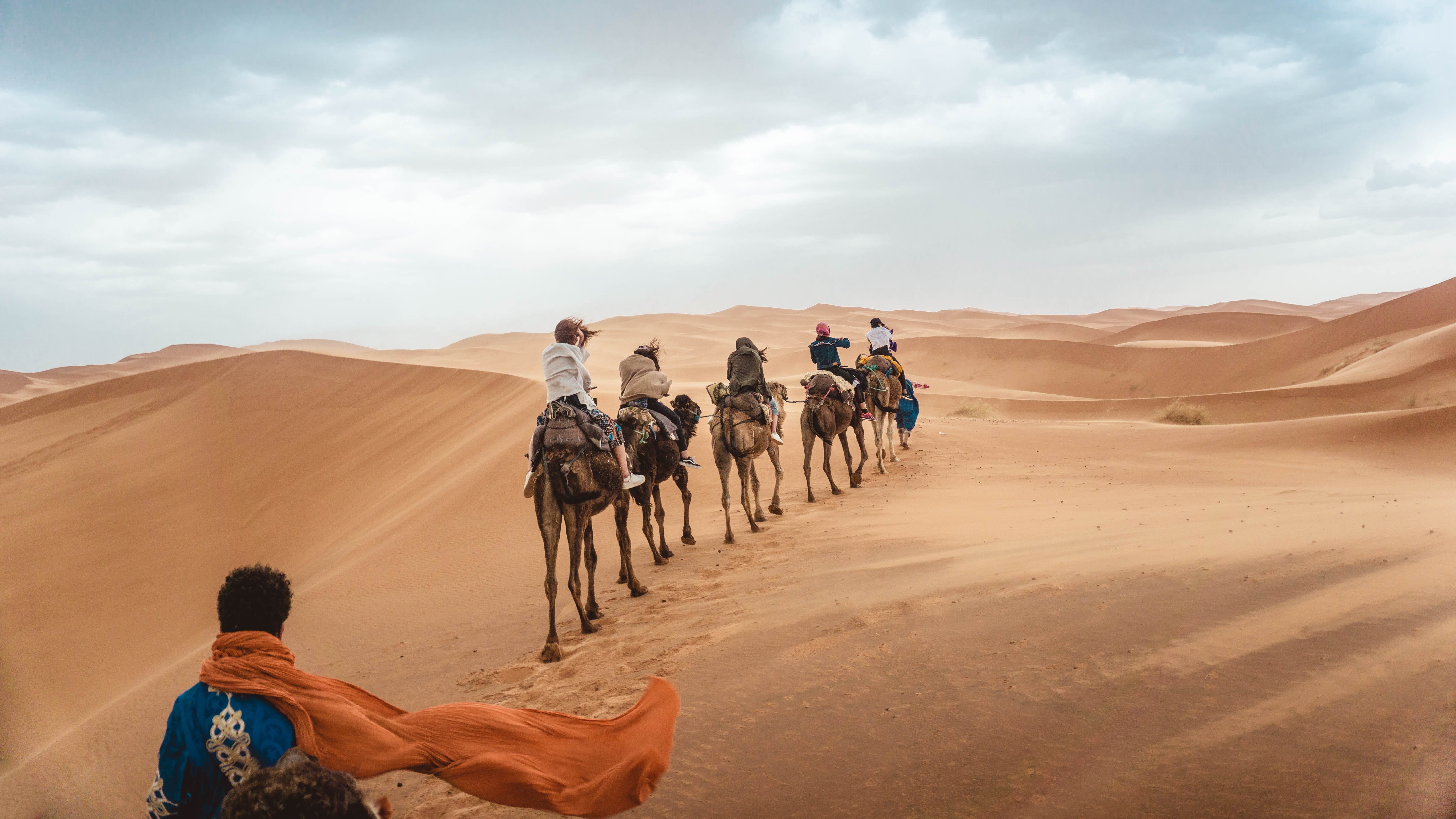 outdoors, several, summer, arid climate, camels, climate, human, environment, animal, desert, sand dune, people, working animal, mammal, horse, land, sky, HD Wallpaper