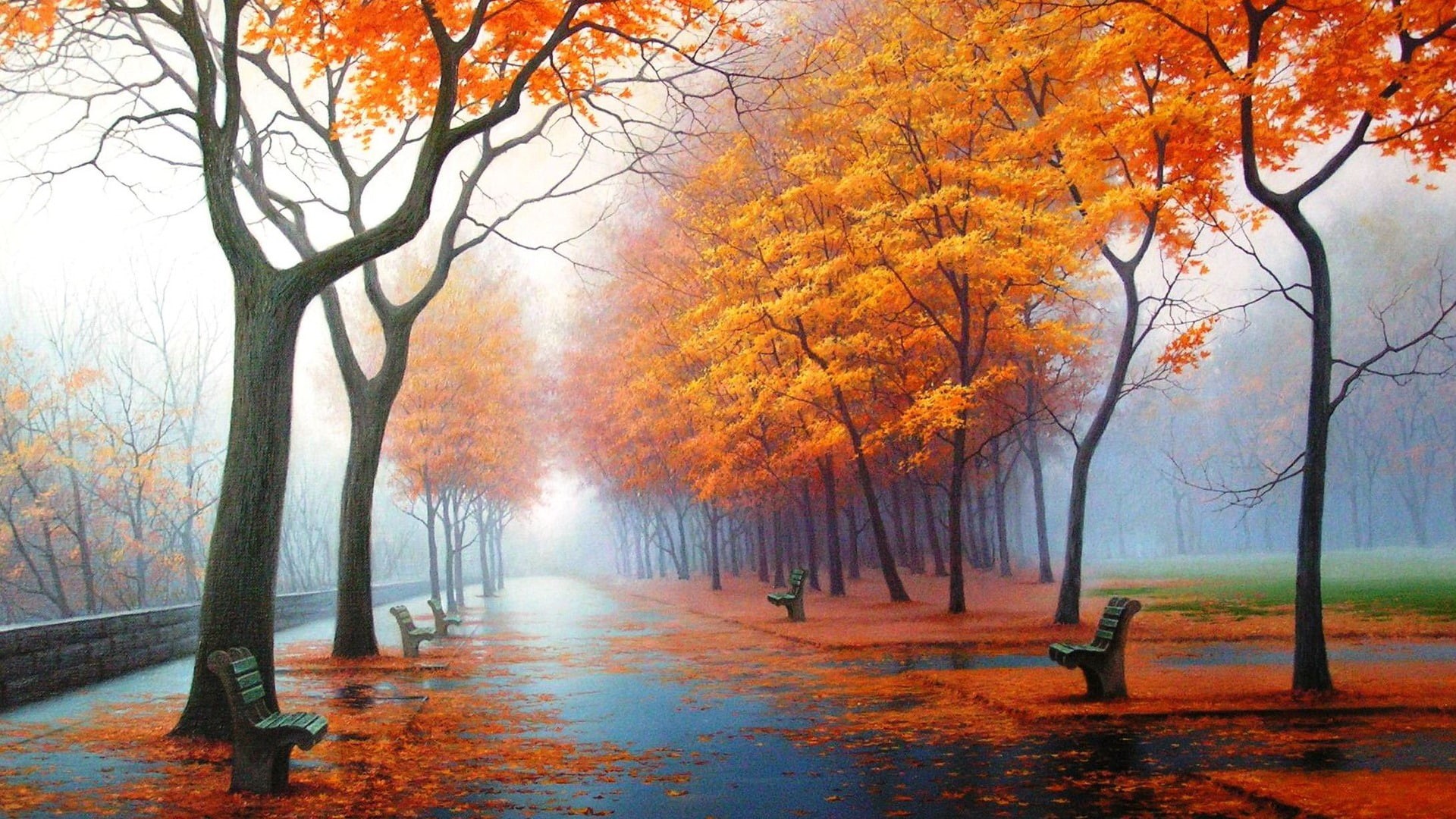 leaf, treelined, growth, direction, no people, 1080P, change, autumn collection, fog, plant part, beauty in nature, outdoors, tranquility, park, HD Wallpaper