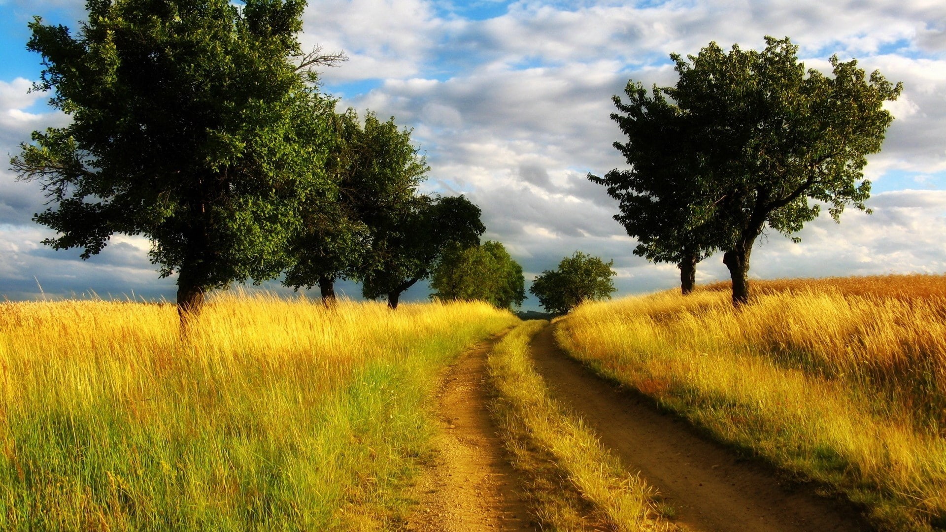 1080P, images backgrounds nature 1920x1080, HD Wallpaper