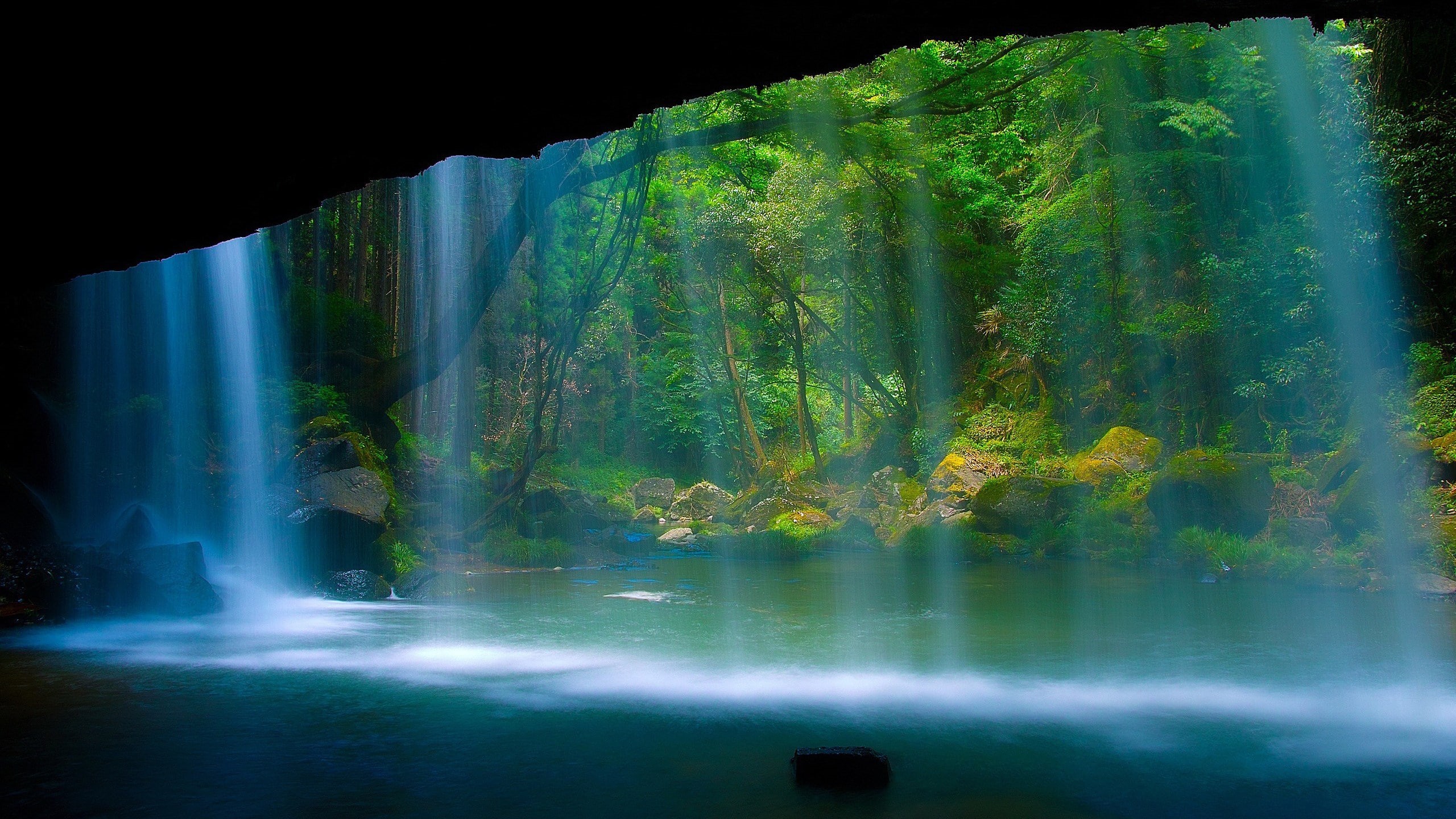 nature beauty desktop hd images 2560x1440, 2K, HD Wallpaper