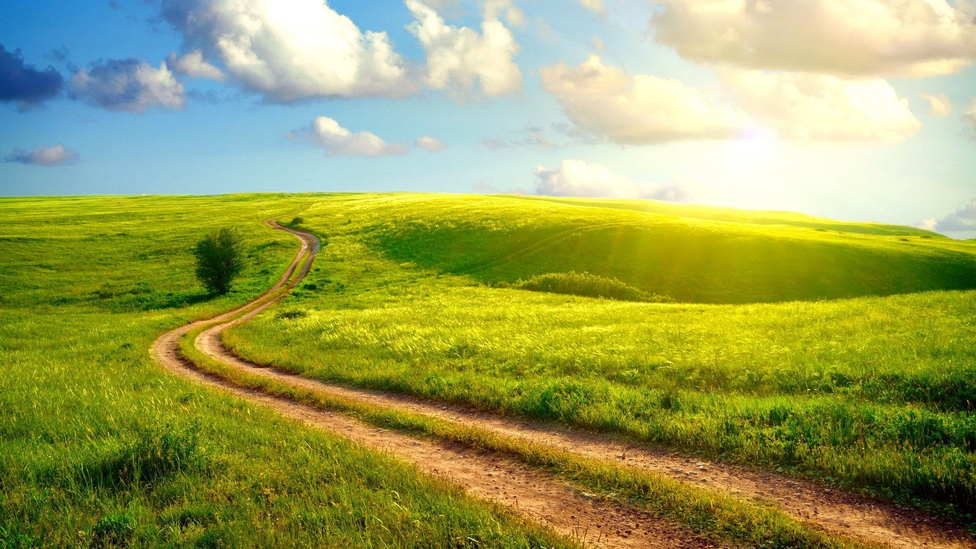 images backgrounds nature 1920x1080, 1080P, HD Wallpaper