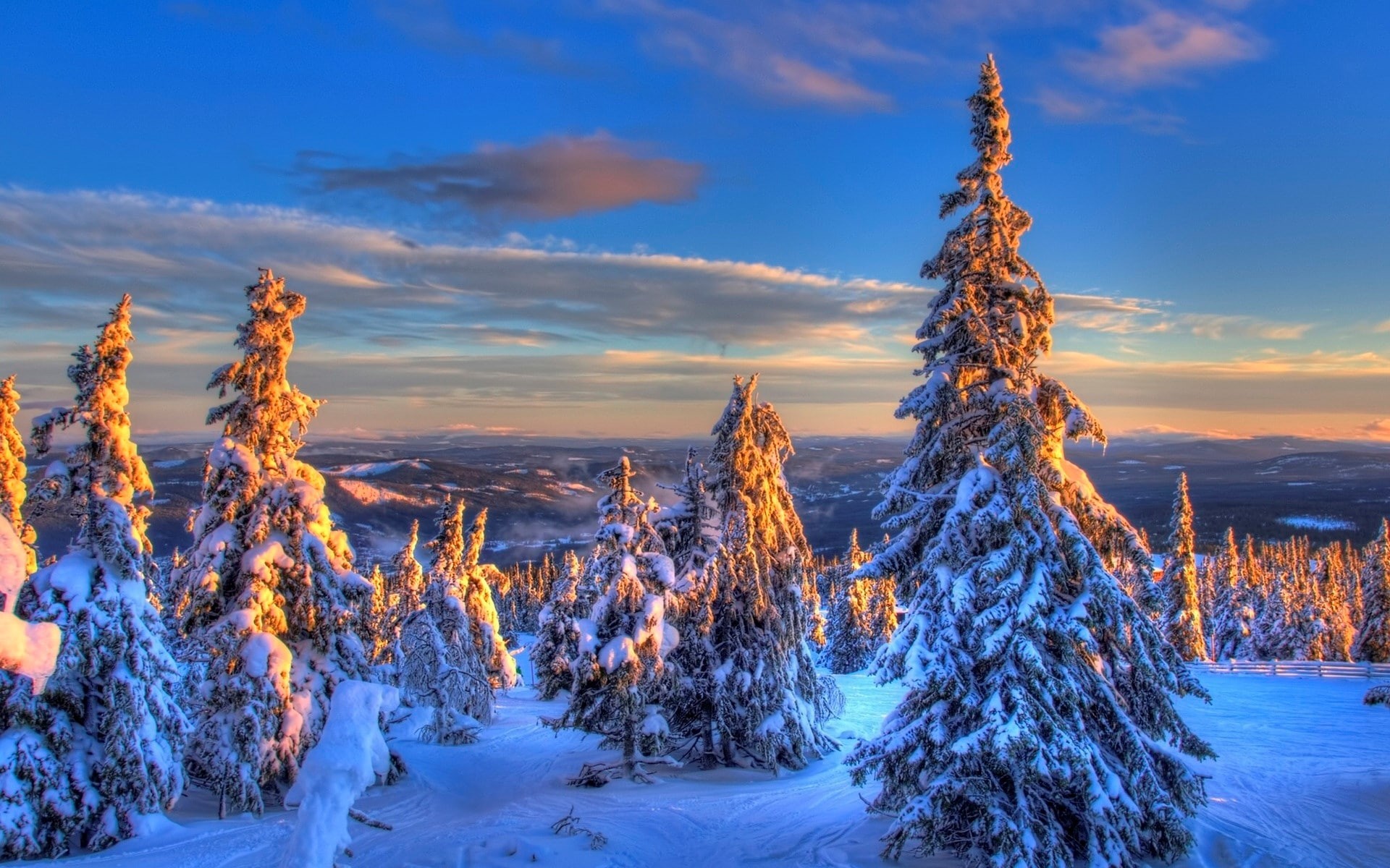 plant, nature, land, 1080P, tree, tranquility, beauty in nature, landscape, sky, cloud - sky, environment, winter, sunset, no people, tranquil scene, high resolution pictures of nature 1920x1200, HD Wallpaper