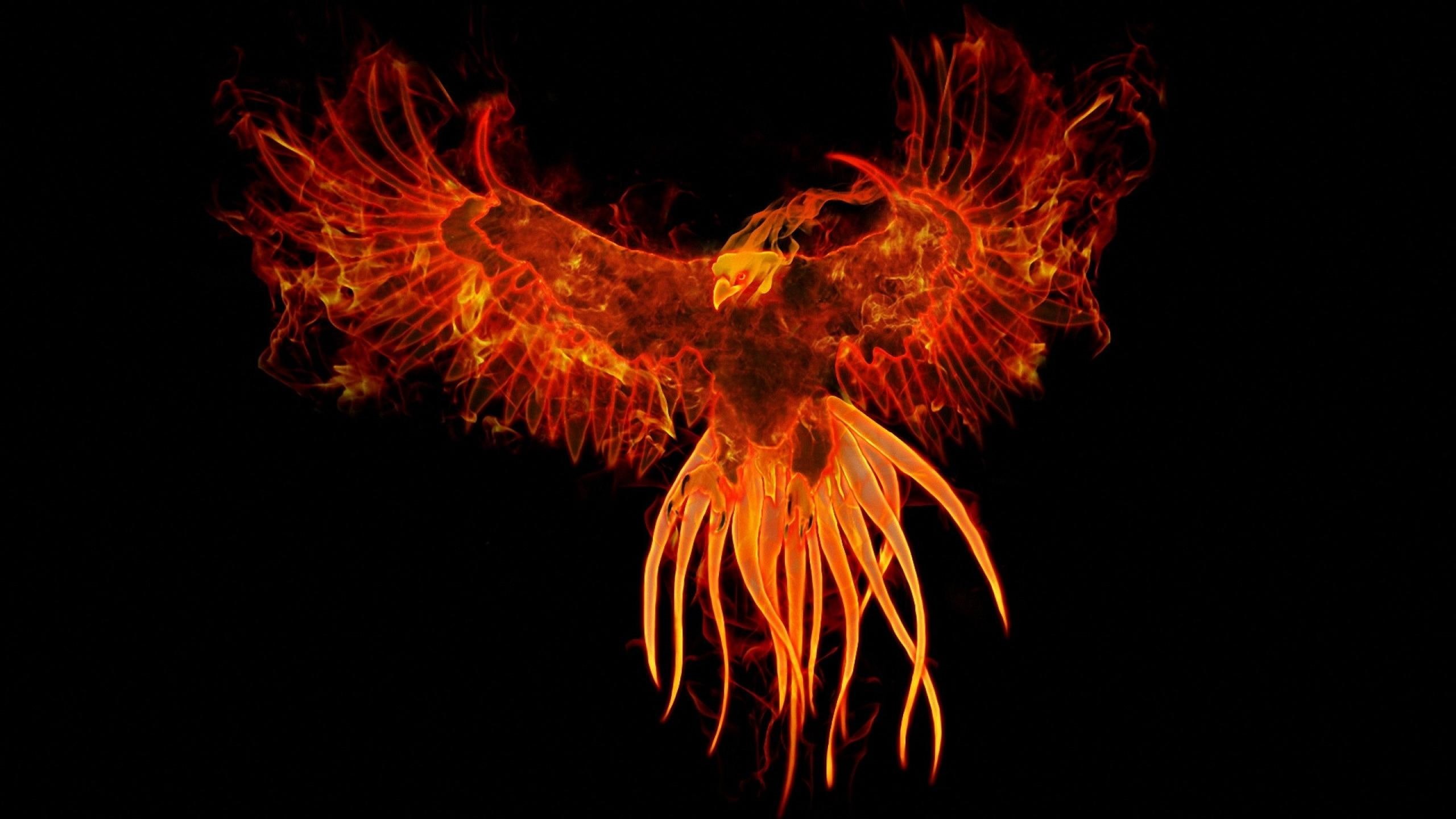 phoenix, red, bird, 2K, HD Wallpaper