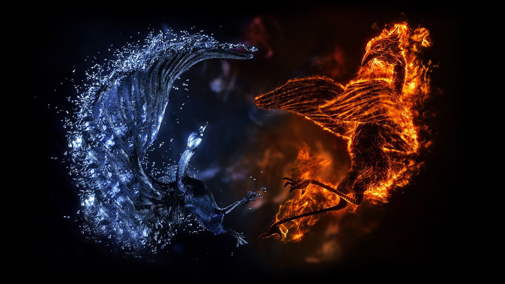 fire - natural phenomenon, exploding, long exposure, outdoors, flowing, illustration, black background, water, glowing, close-up, orange color, birds, heat - temperature, HD Wallpaper