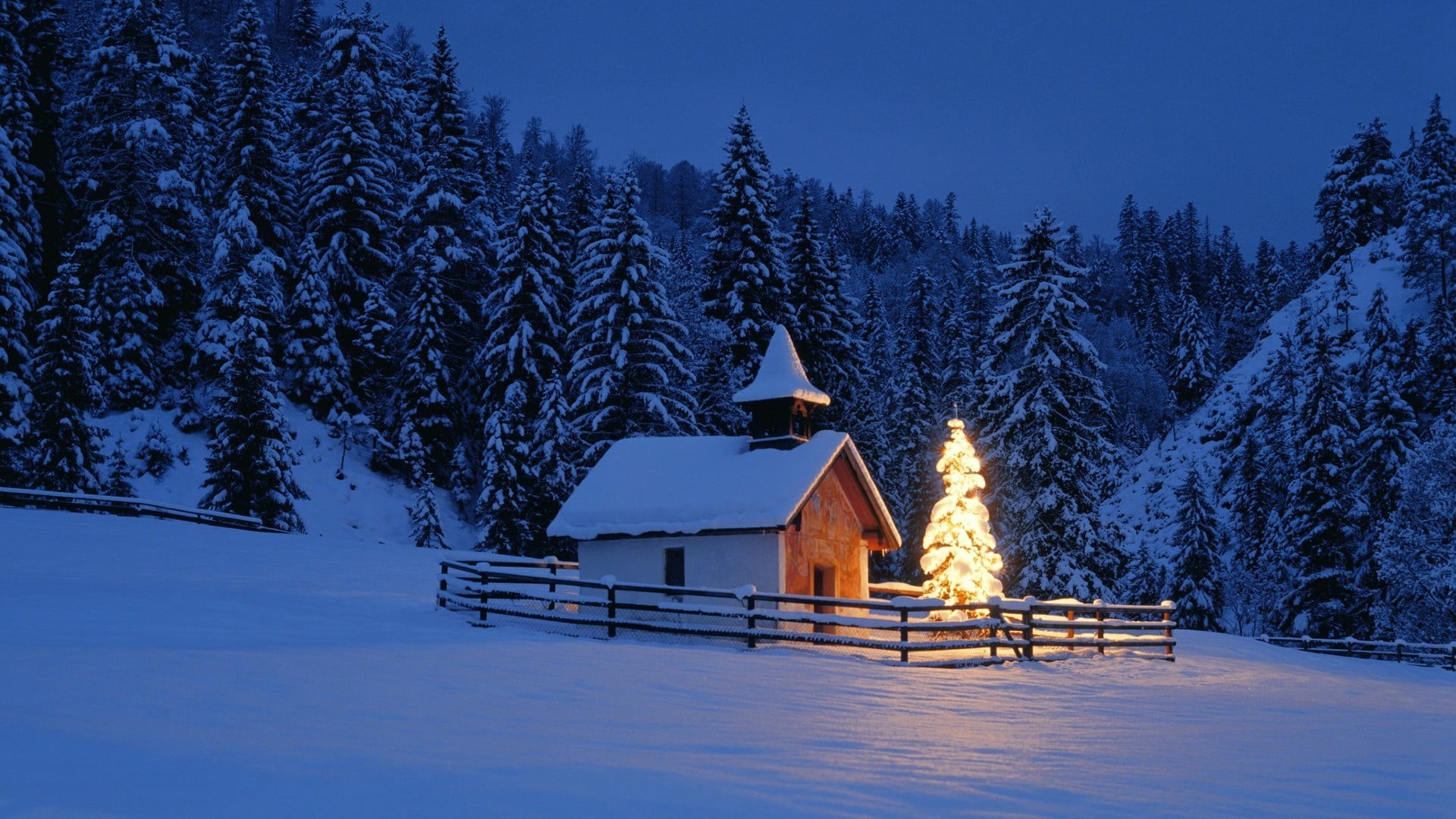 covered, house, lights, beauty in nature, sky, winter, built structure, 1080P, snow, pine tree, tranquility, cottage, scenics - nature, nighttime, illuminated, HD Wallpaper