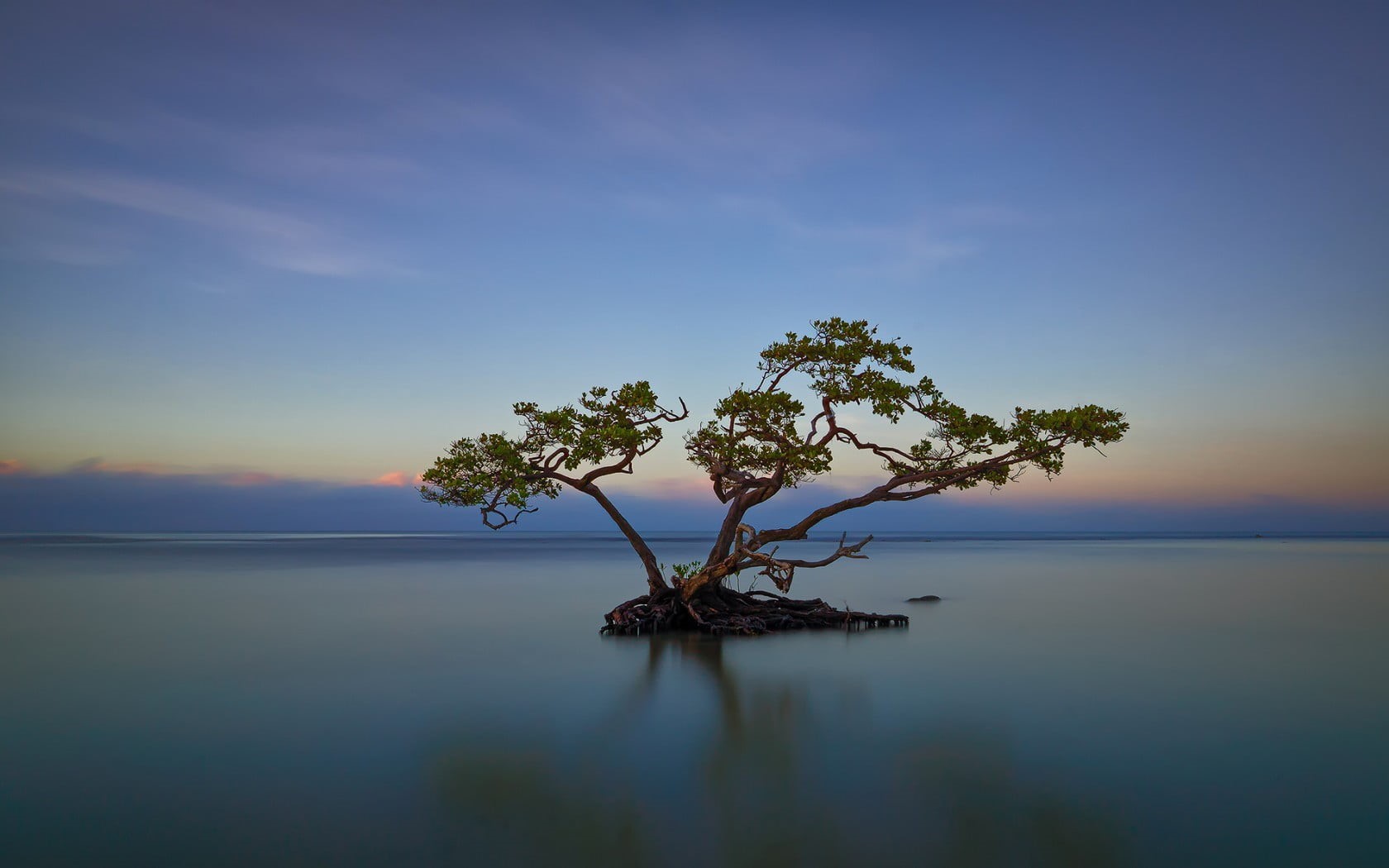 tranquil Scene, leafed, beauty In Nature, dusk, growth, day, nature, green, sea, sunrise - Dawn, tropical Climate, clouds, non-urban scene, lake, long exposure, HD Wallpaper