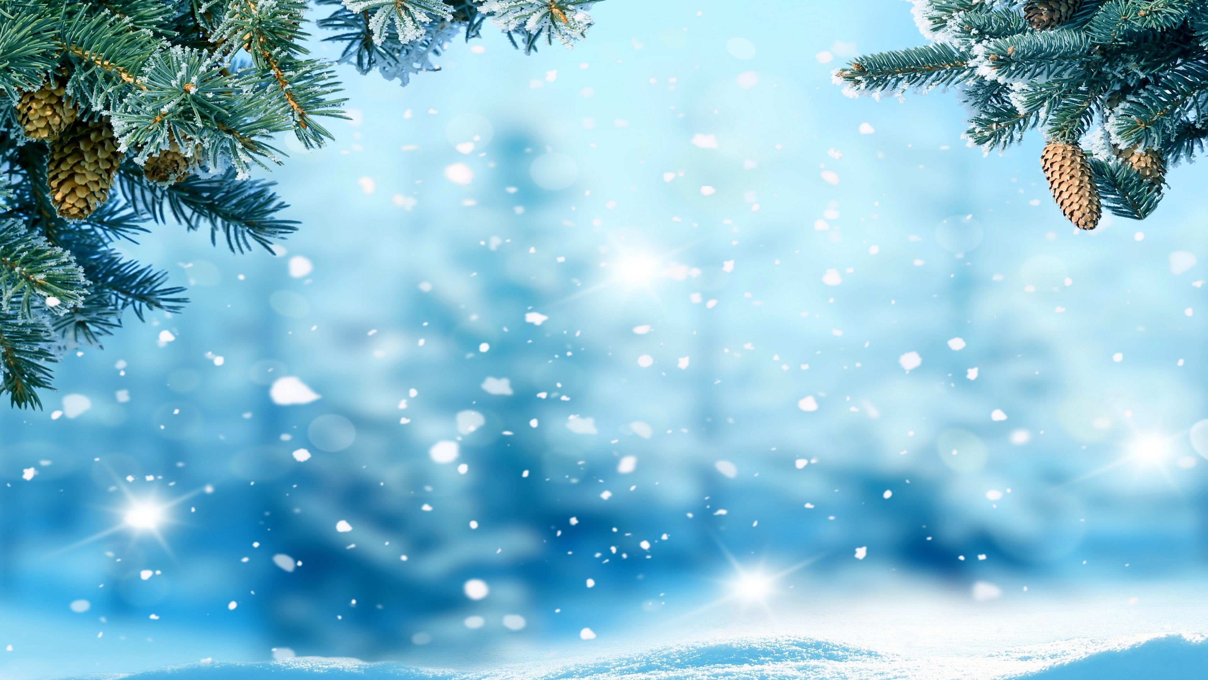 4K, no people, christmas ornament, winter, decoration, plant, fir tree, pine, holiday, snow, freezing, outdoors, christmas decoration, blue, branch, spruce, HD Wallpaper