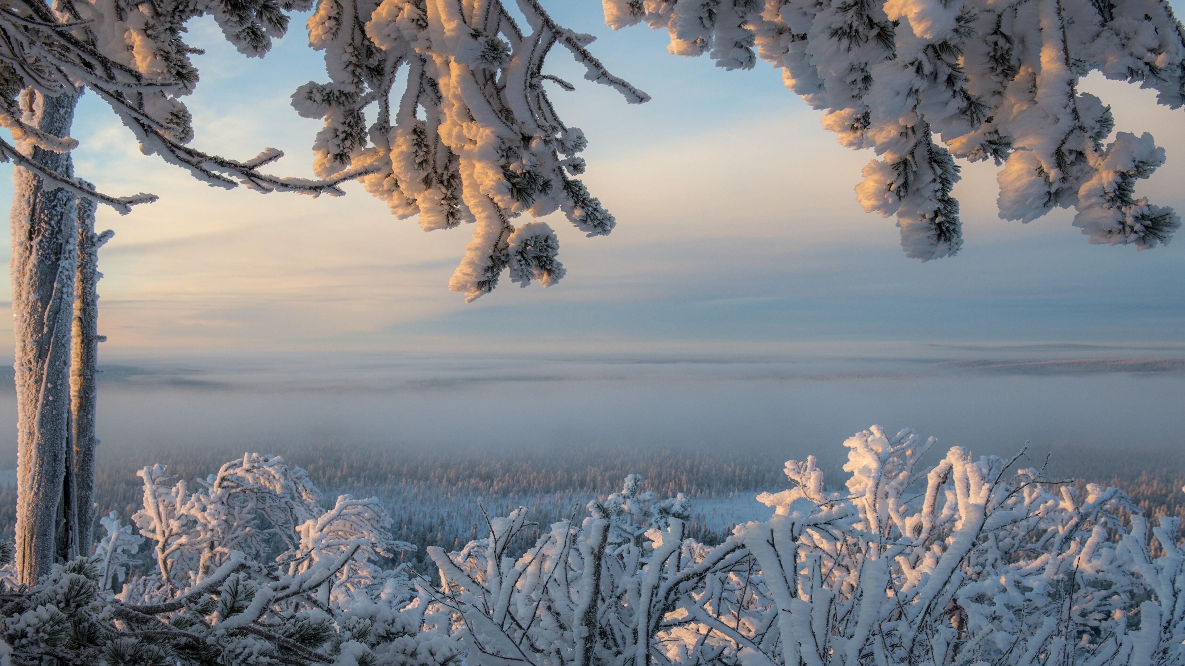 freezing, cloud - sky, winter, atmosphere, branch, sunset, frozen, tree, tranquility, ice, finland, sunlight, nature, outdoors, non-urban scene, 4K, snowy, HD Wallpaper