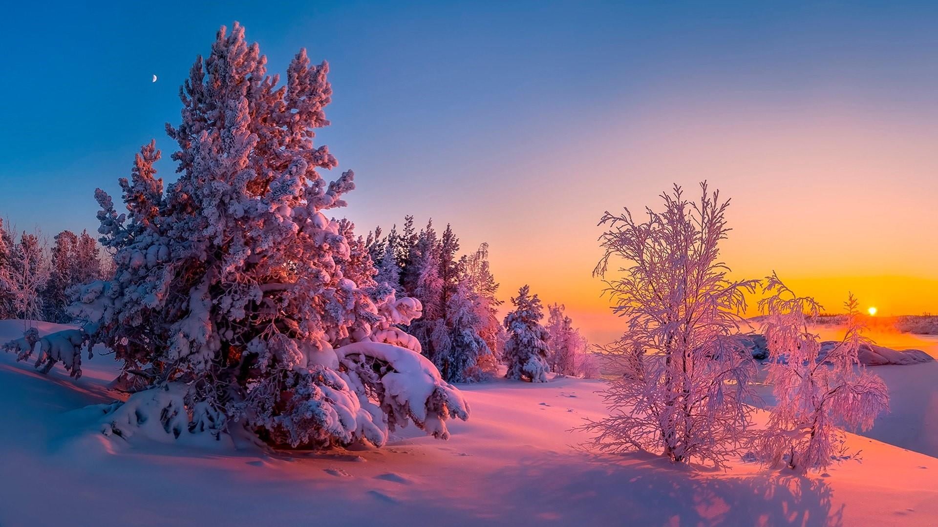 winter, field, 1080P, snow, land, beauty in nature, branch, sunset, landscape, tranquil scene, pine family, fir, covering, moon, frozen, sky, russia, kilpola, HD Wallpaper