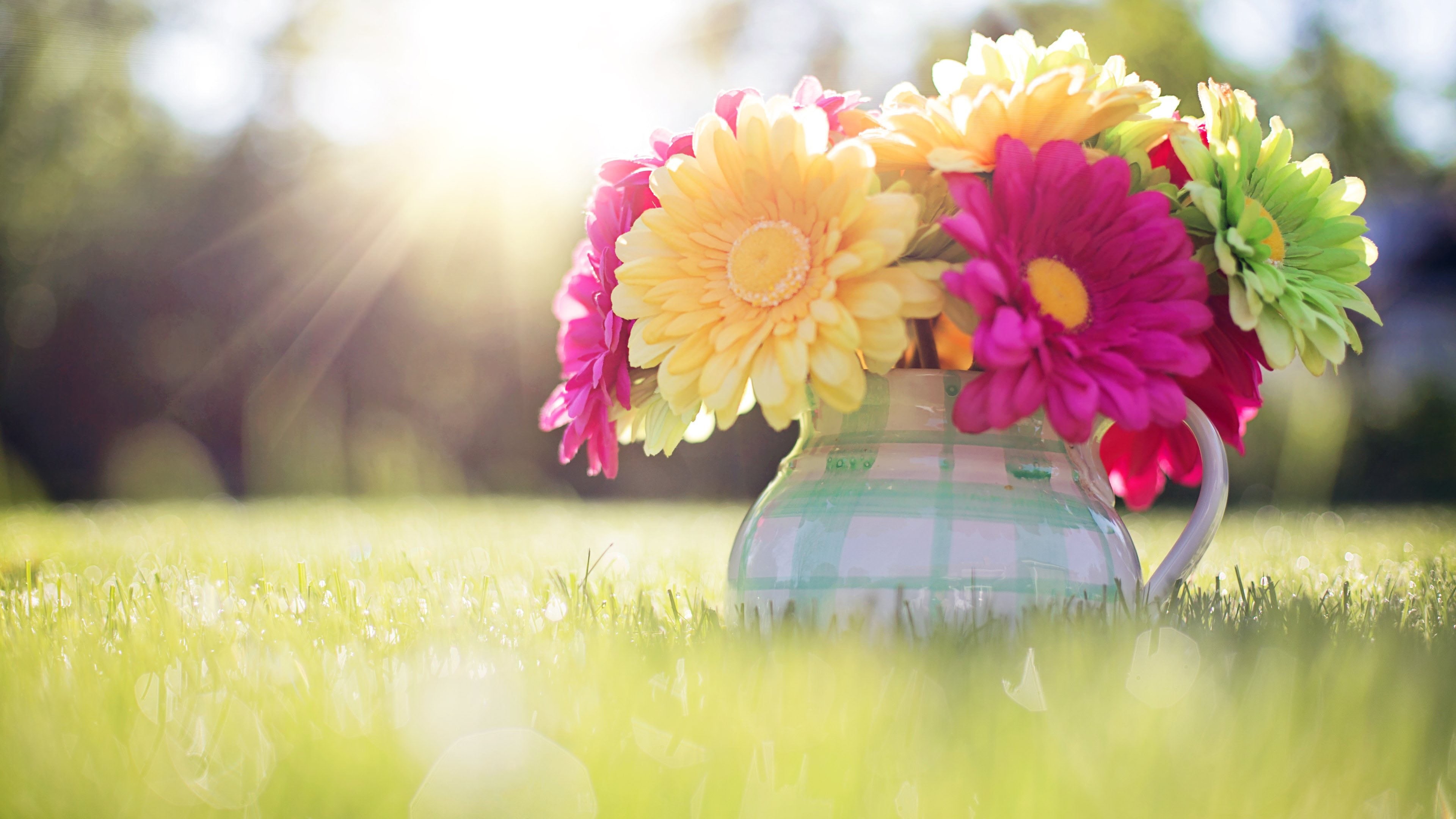 selective focus, freshness, 4K, fresh, petals, valentine, pink, flower arrangement, garden, bloom, design, grass, vase, botanical, decoration, day, flower, HD Wallpaper