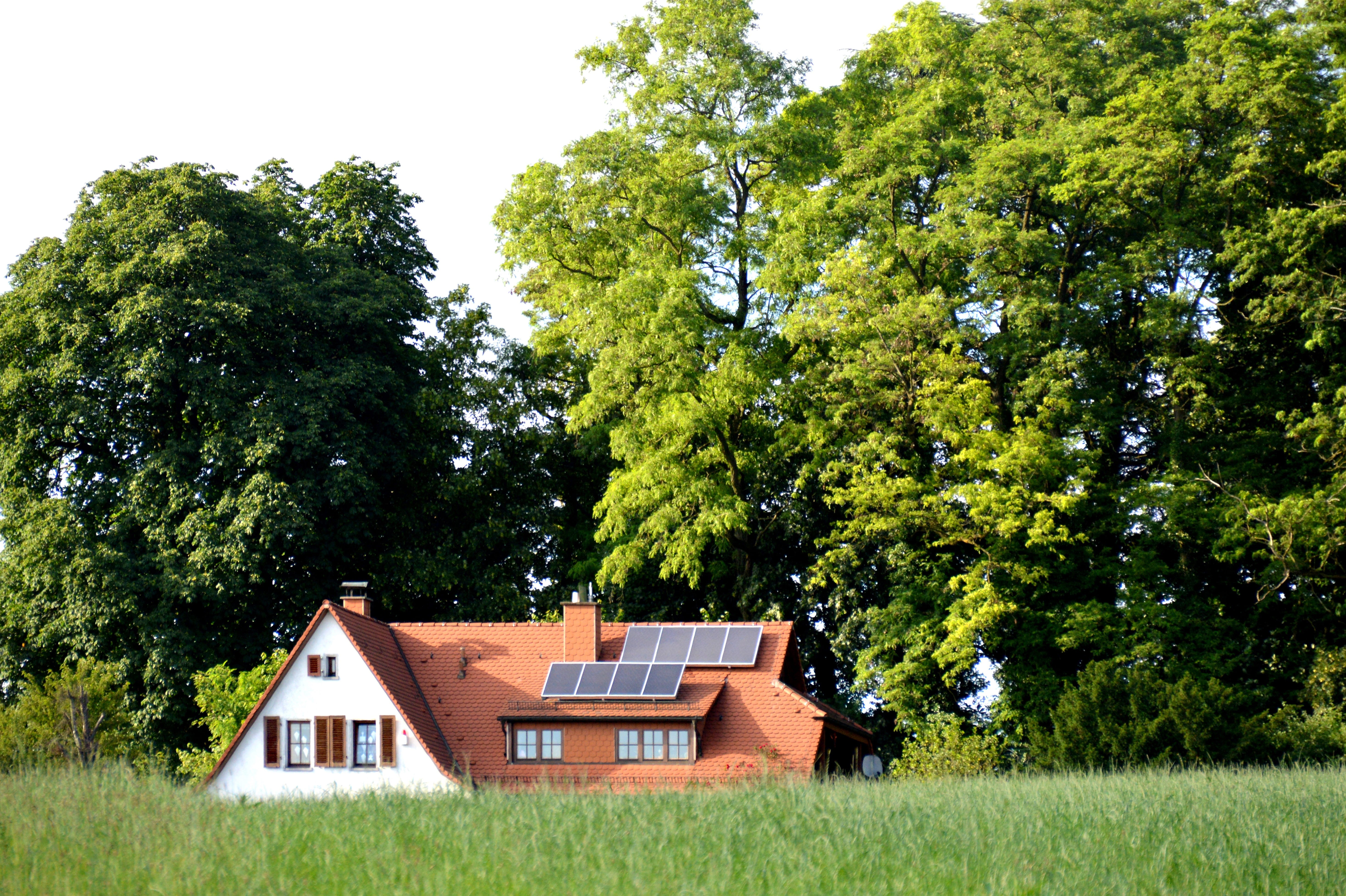 off the beaten track, rural Scene, Idyll, plot, tree, architecture And Buildings, green, peaceful, holiday home, day, building, growth, house in the green, HD Wallpaper