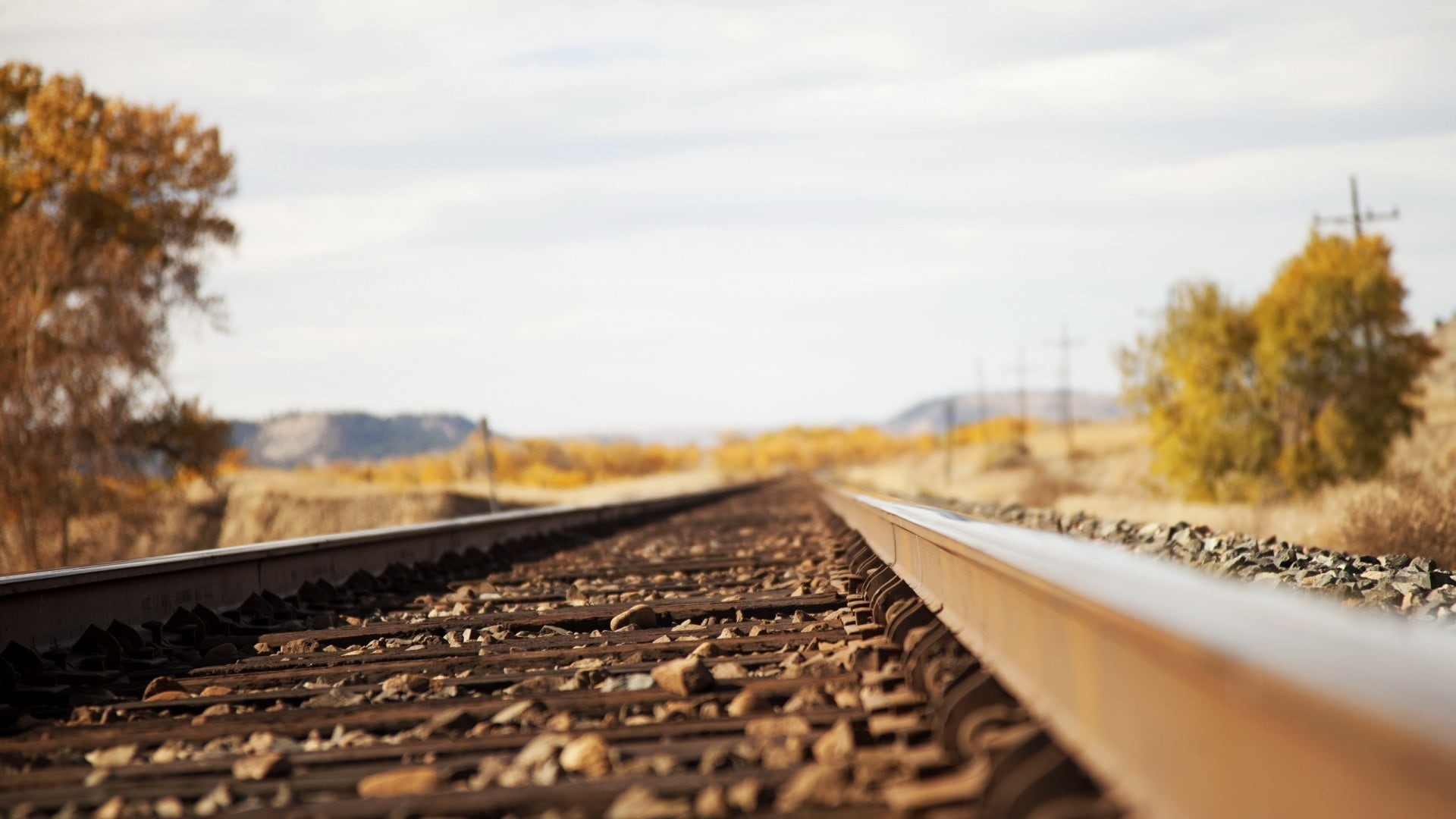 train, angle, track, vanishing point, tracks, the way forward, selective focus, outdoors, cloud - sky, tree, surface level, depth of field, 1080P, public transportation, HD Wallpaper