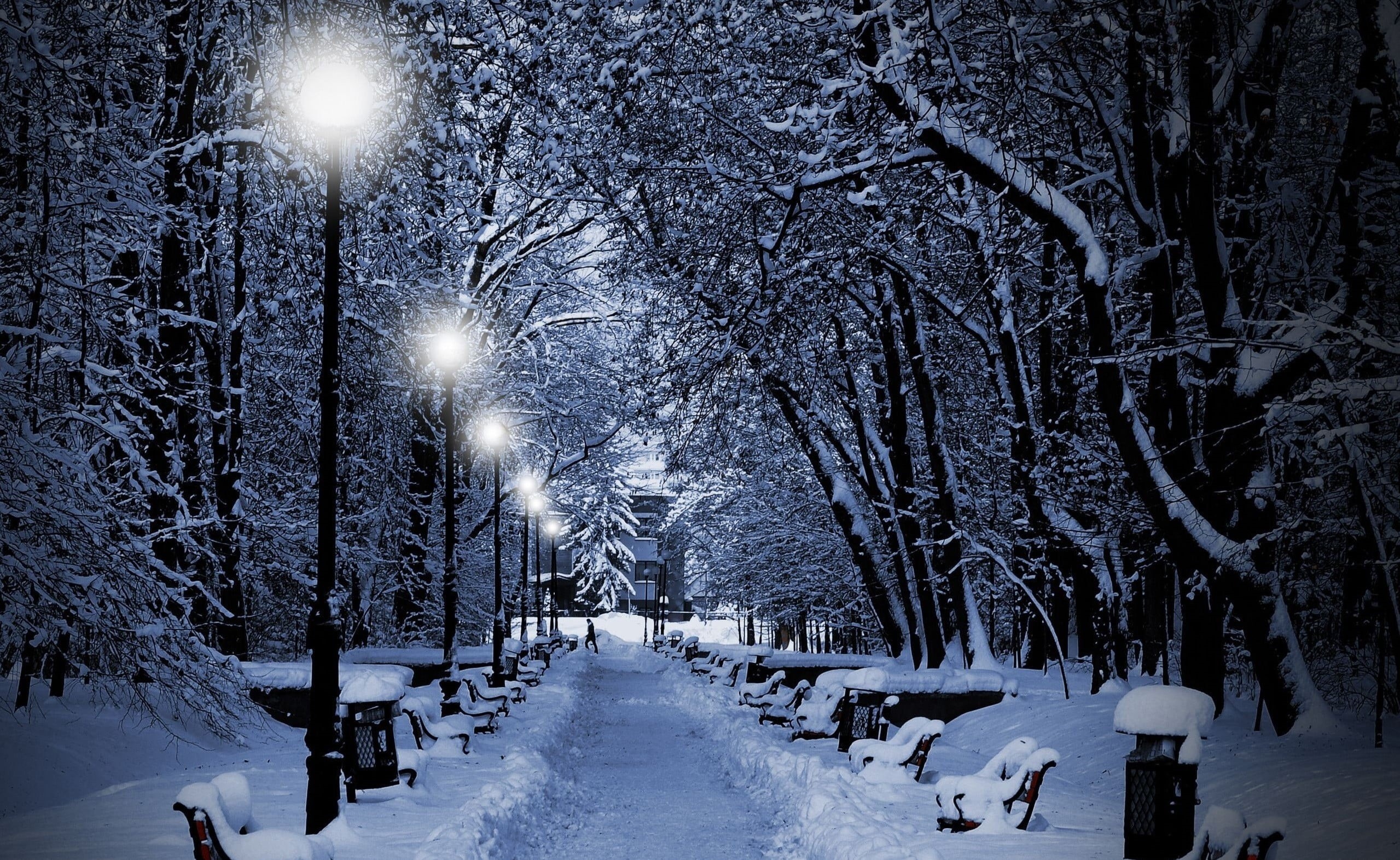 winter, bench, outdoors, illuminated, diminishing perspective, lighting equipment, covering, black, concrete, trees, the way forward, direction, night, HD Wallpaper