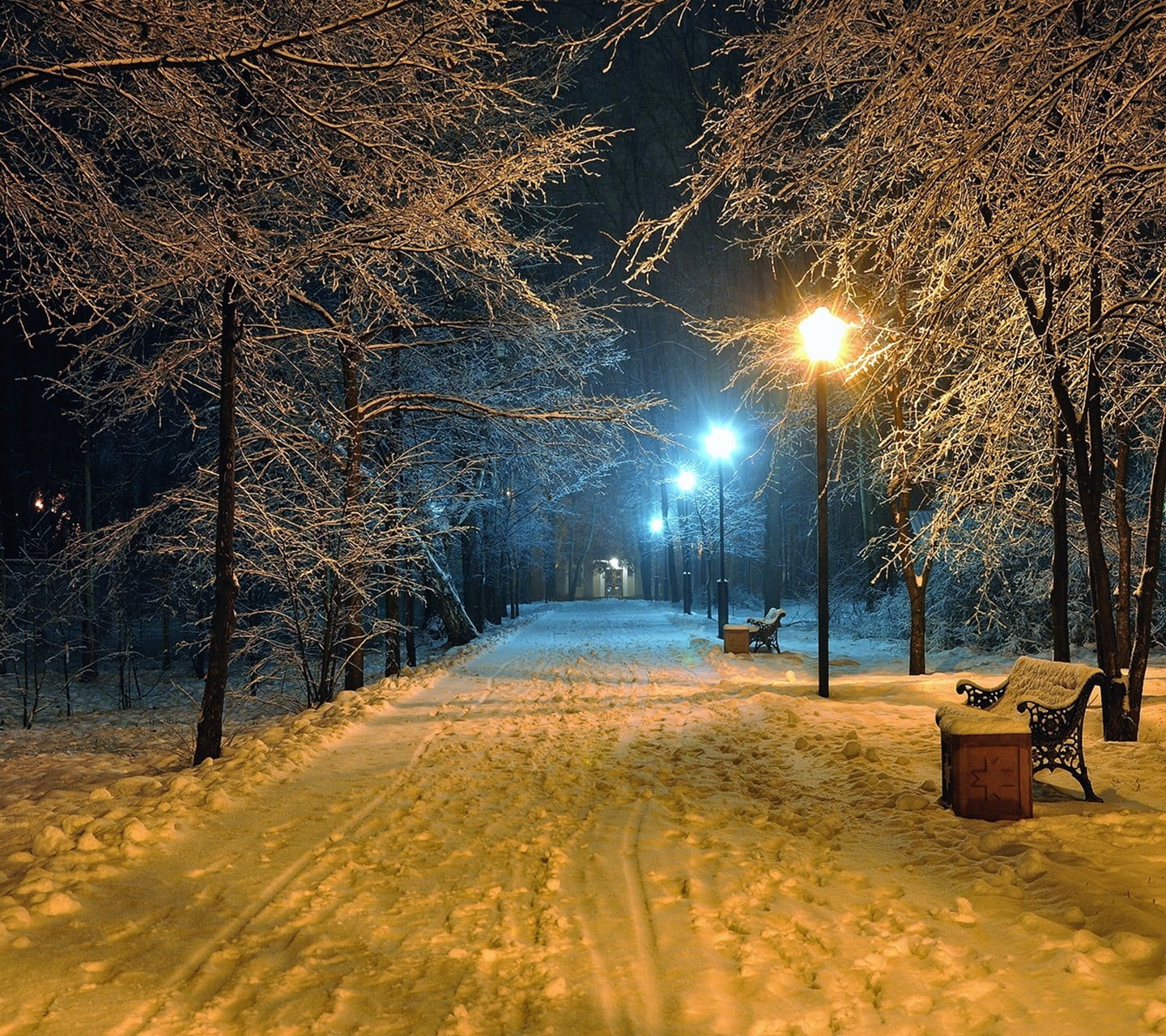 illuminated, winter, direction, extreme weather, tree, bare tree, tranquility, night, cold temperature, plant, street light, covering, no people, nature, HD Wallpaper