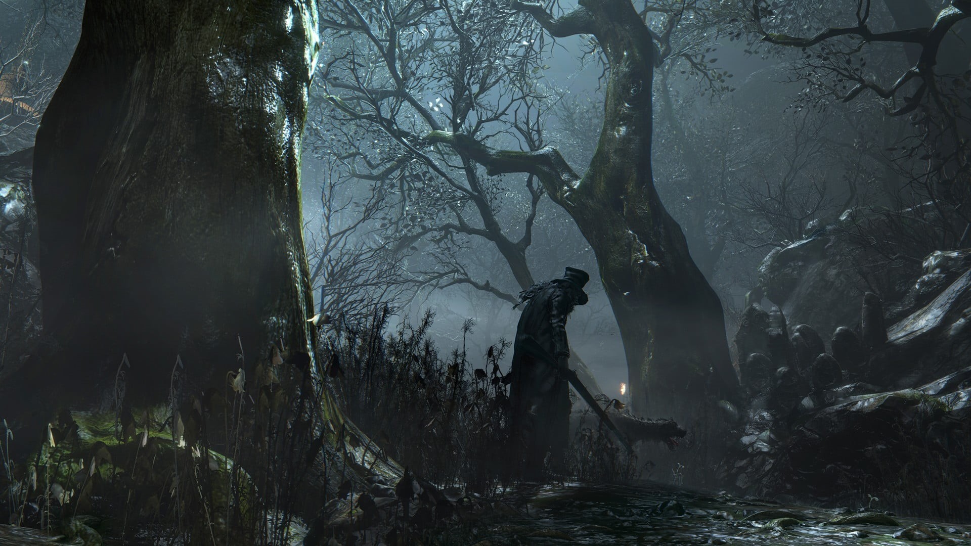 beauty in nature, outdoors, tranquil scene, tree trunk, plant, 1080P, video games, leafed, trees, nature, illustration, Bloodborne, flowing water, trunk, HD Wallpaper