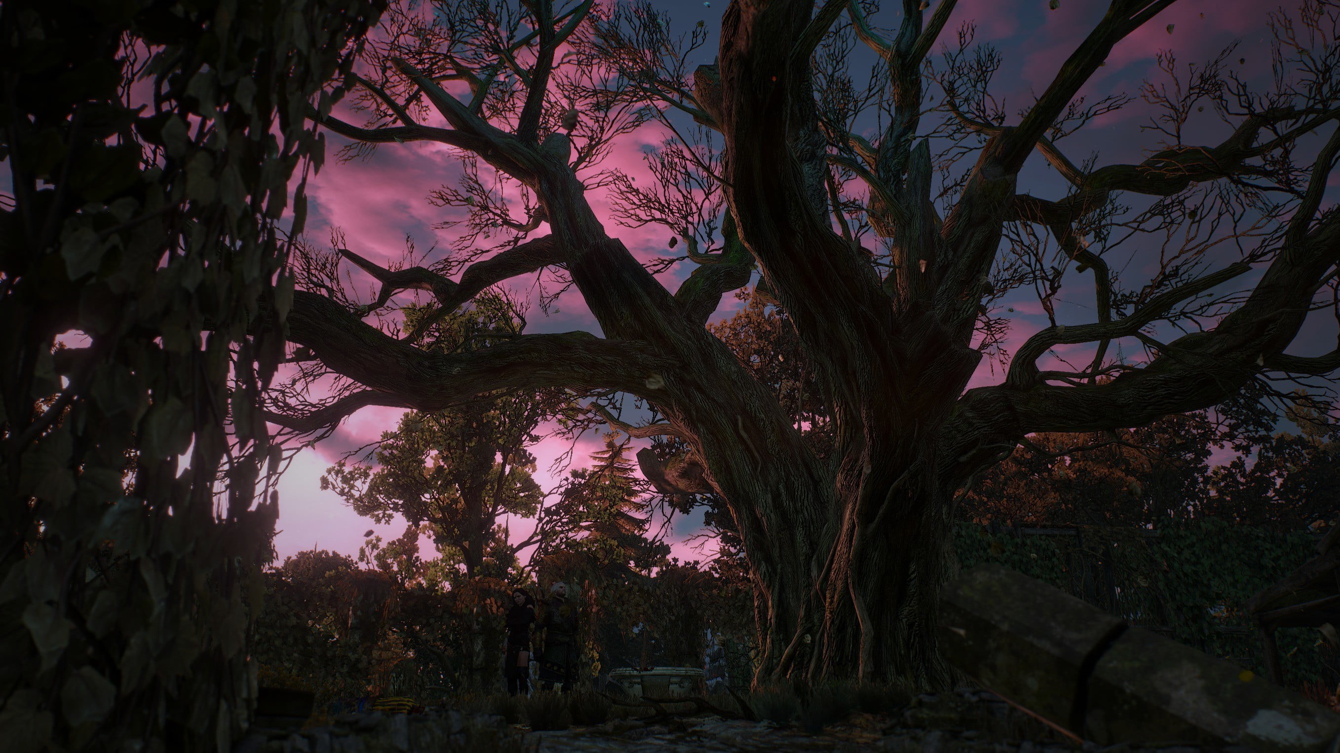 night, growth, cherry blossom, 2K, tranquility, The Witcher 3: Wild Hunt, sky, no people, scenics - nature, tree, plant, low angle view, nature, Geralt of Rivia, HD Wallpaper
