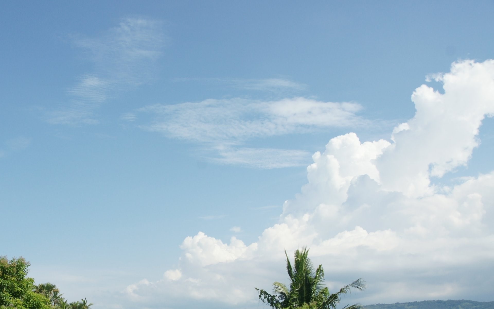 tranquility, palm tree, sky high resolution desktop backgrounds, no people, blue, tree, environment, 1080P, scenics - nature, sky, beauty in nature, meteorology, HD Wallpaper