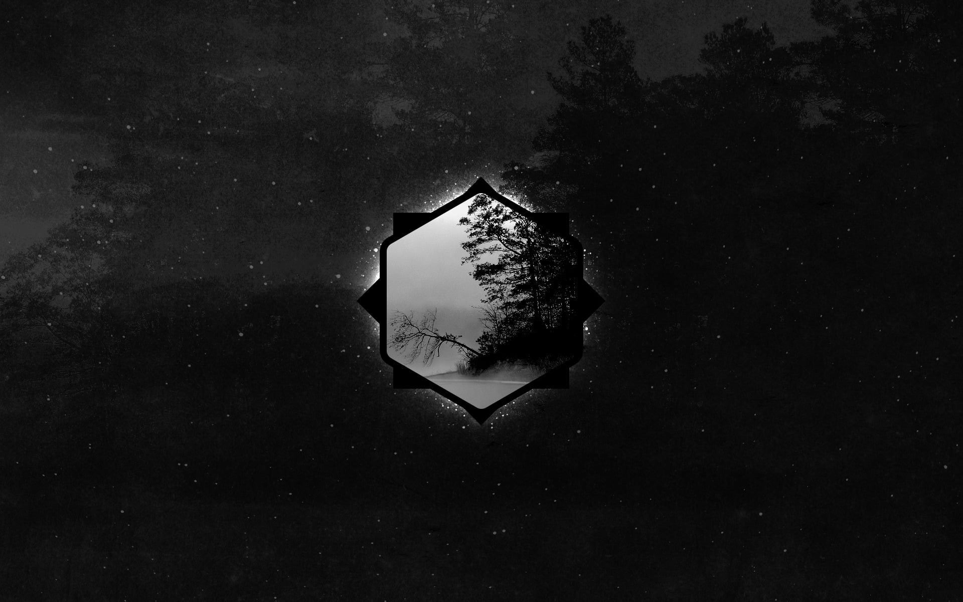 nature, monochrome, grayscale, forest, close-up, silhouette, outdoors, window, 1080P, plant, glass - material, trees, digital art, lake, water, HD Wallpaper
