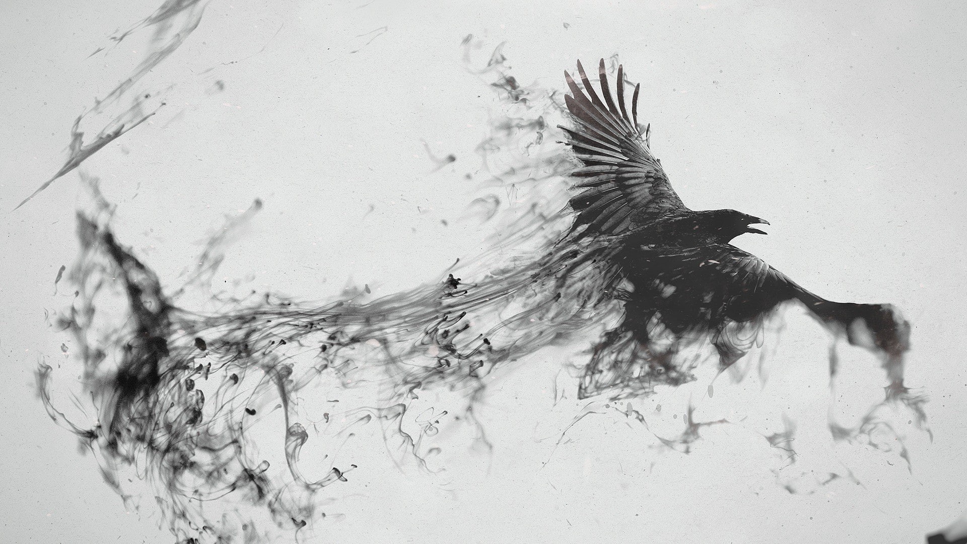 crow, ink, artwork, monochrome, birds, raven, 1080P, digital art, animals, creativity, HD Wallpaper