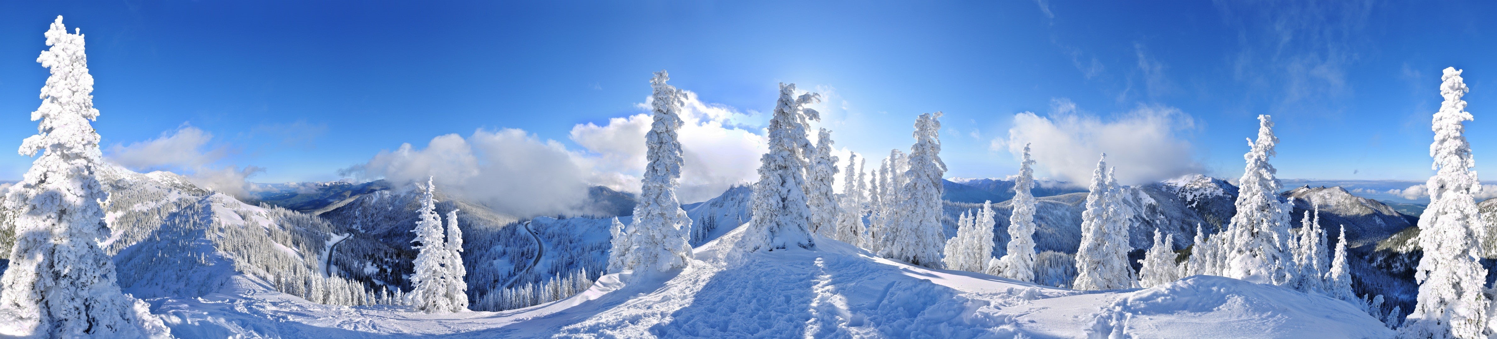 clouds, white color, panoramas, pine tree, nature, white, evergreen tree, scenics - nature, road, winter, environment, forest, cloud - sky, panoramic, landscape, HD Wallpaper