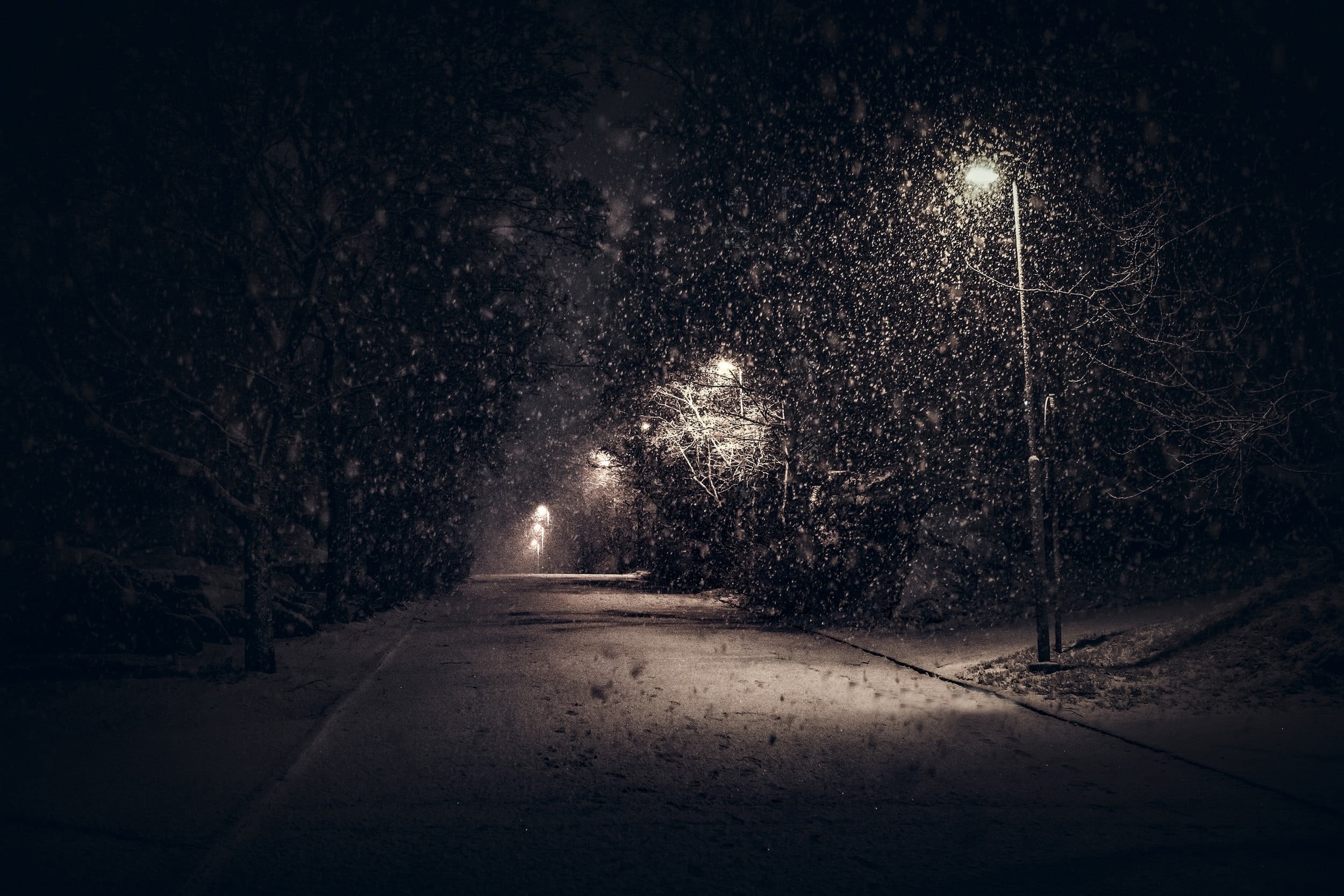 outdoors, concrete, lighting equipment, road, blizzard, cold temperature, the way forward, winter, snowing, night, street light, calm, nature, transportation, HD Wallpaper