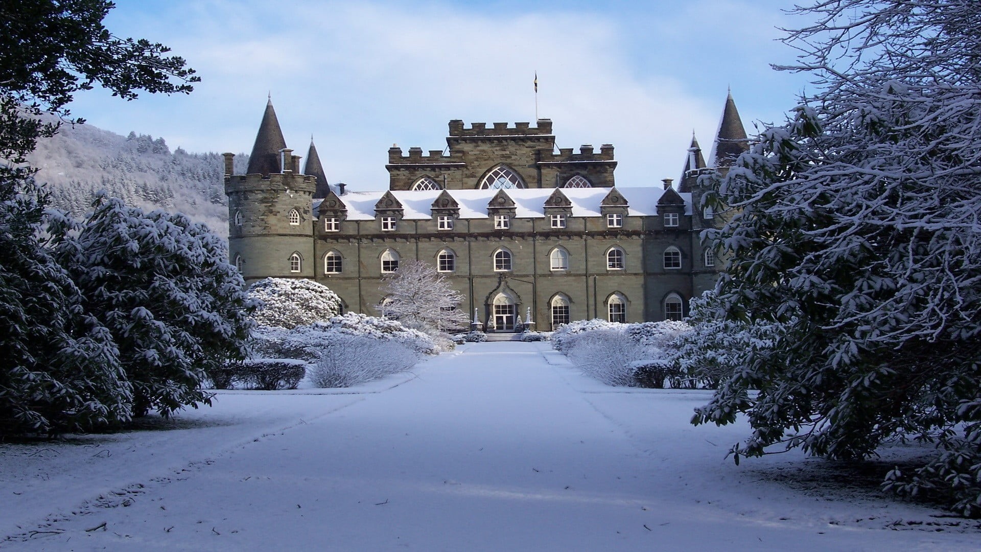 brown, forest, nature, old building, landscape, winter, travel destinations, history, trees, architecture, the way forward, snow, castle, no people, UK, HD Wallpaper