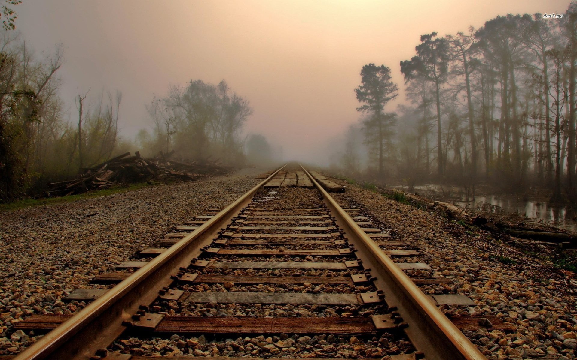 station, leaves, railroad Track, railroad tie, fog, day, metal, train, straight, no People, track, beauty in nature, steel, nature, transportation, sunset, HD Wallpaper