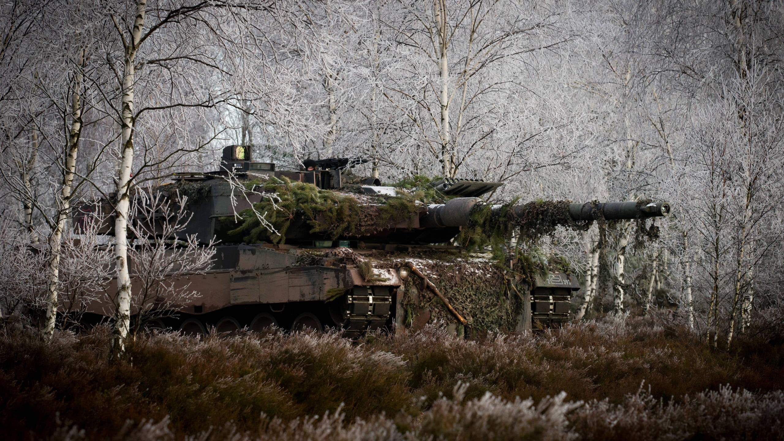 plane, nature, transportation, bare tree, abandoned, weapon, outdoors, day, obsolete, Leopard 2, plant, architecture, military, field, black, tree, tank, HD Wallpaper