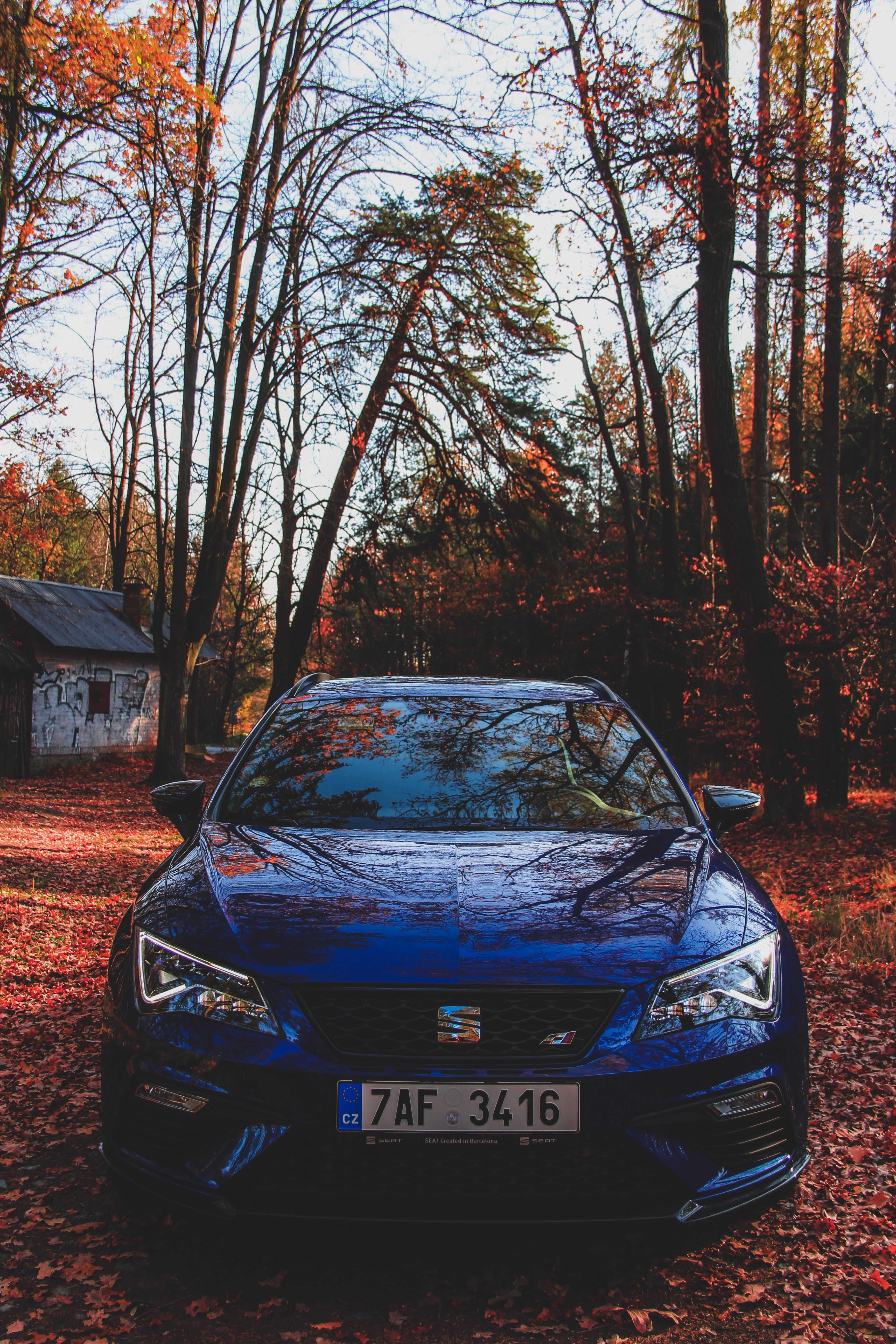 mode of transportation, text, nature, cars, plant, architecture, day, built structure, bare tree, change, photo, cupra, seat, autumn, transportation, motor vehicle, Phone HD Wallpaper