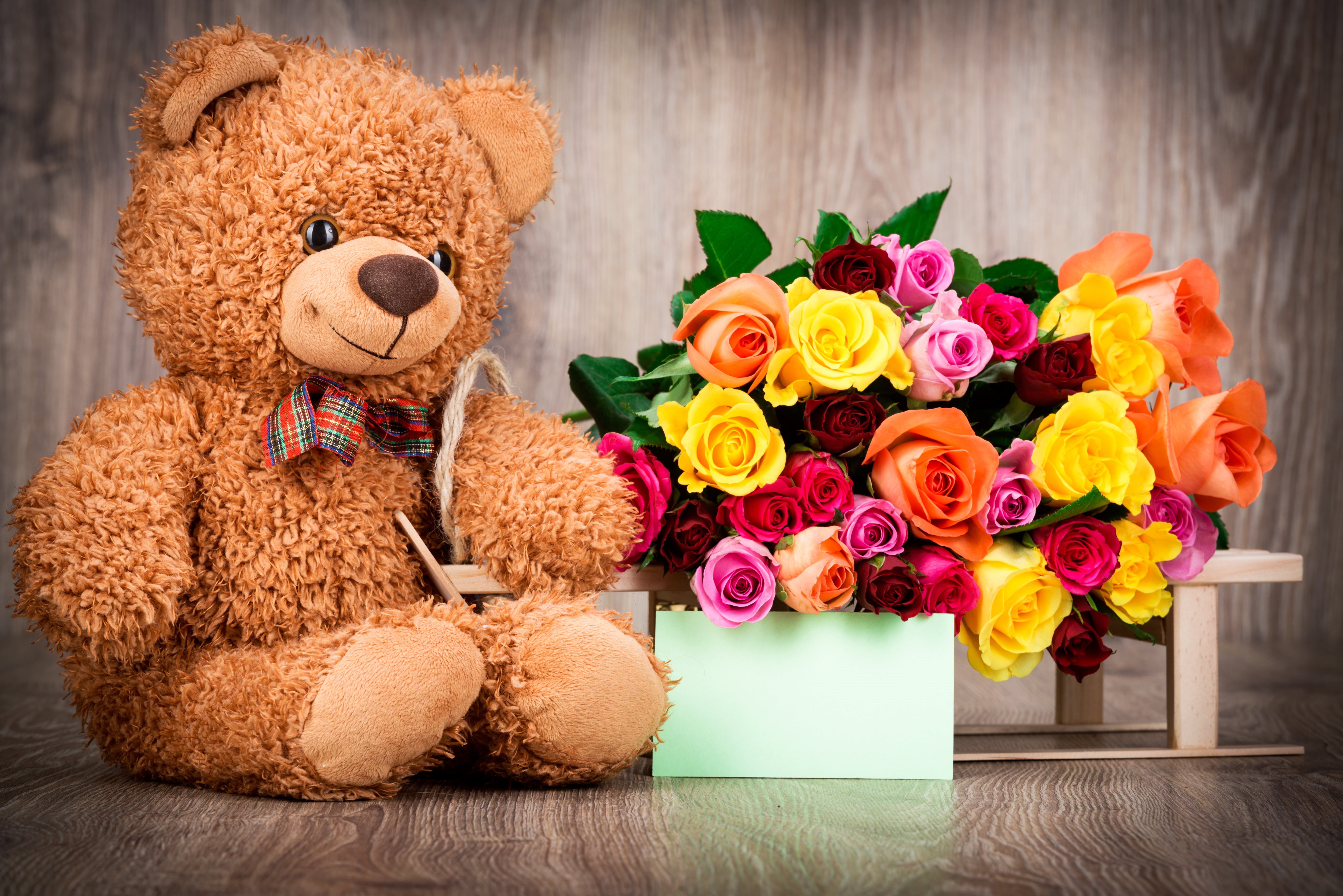 nature, indoors, orange, childhood, flower, rose, brown, gift, love, roses, romantic, red, heart, toy, teddy bear, home interior, yellow, cute, lifestyles, HD Wallpaper