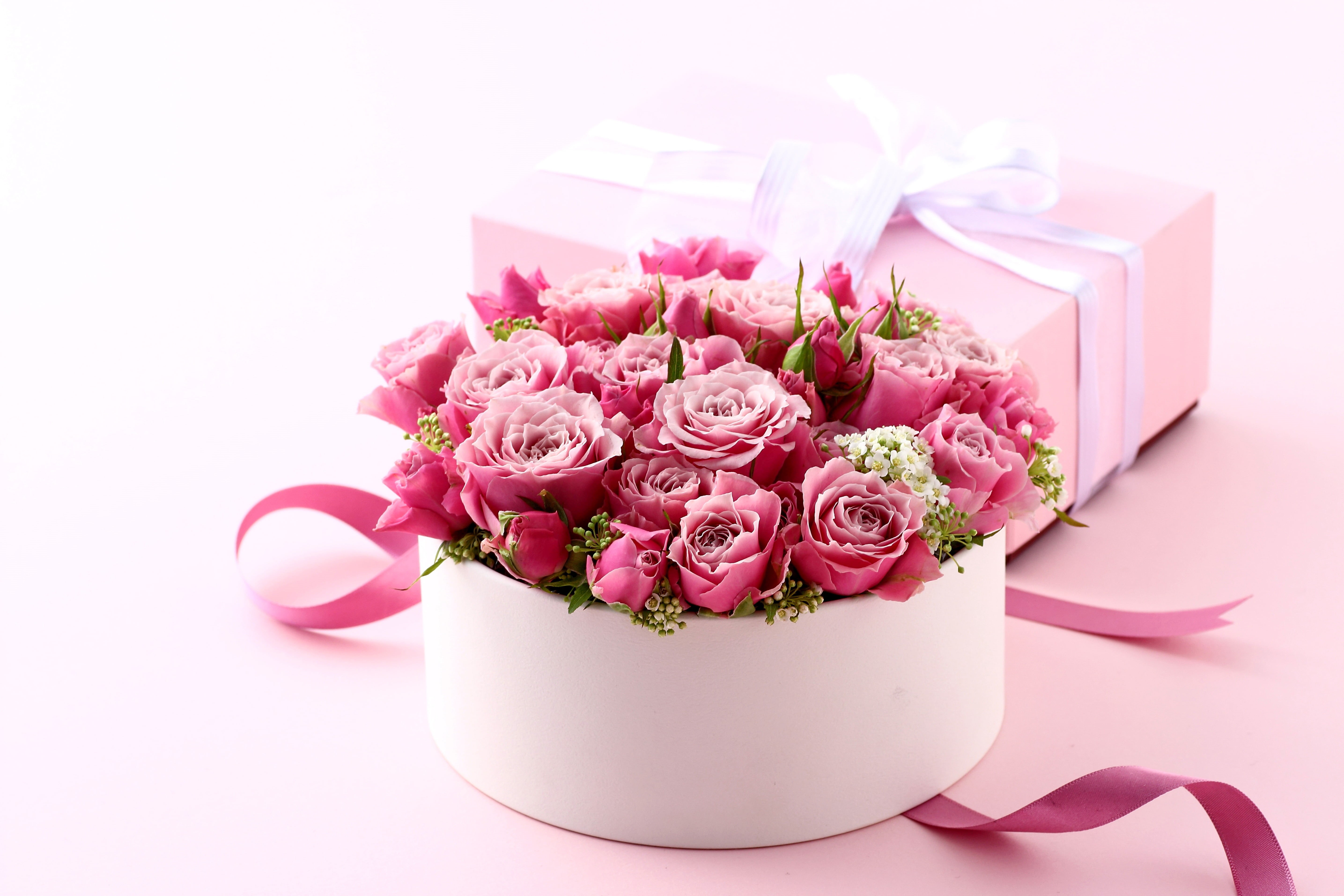 red, freshness, decoration, purple, indoors, roses, box, backgrounds, elegance, romantic, bouquet, love, wedding, pink, gift, flower arrangement, nature, HD Wallpaper