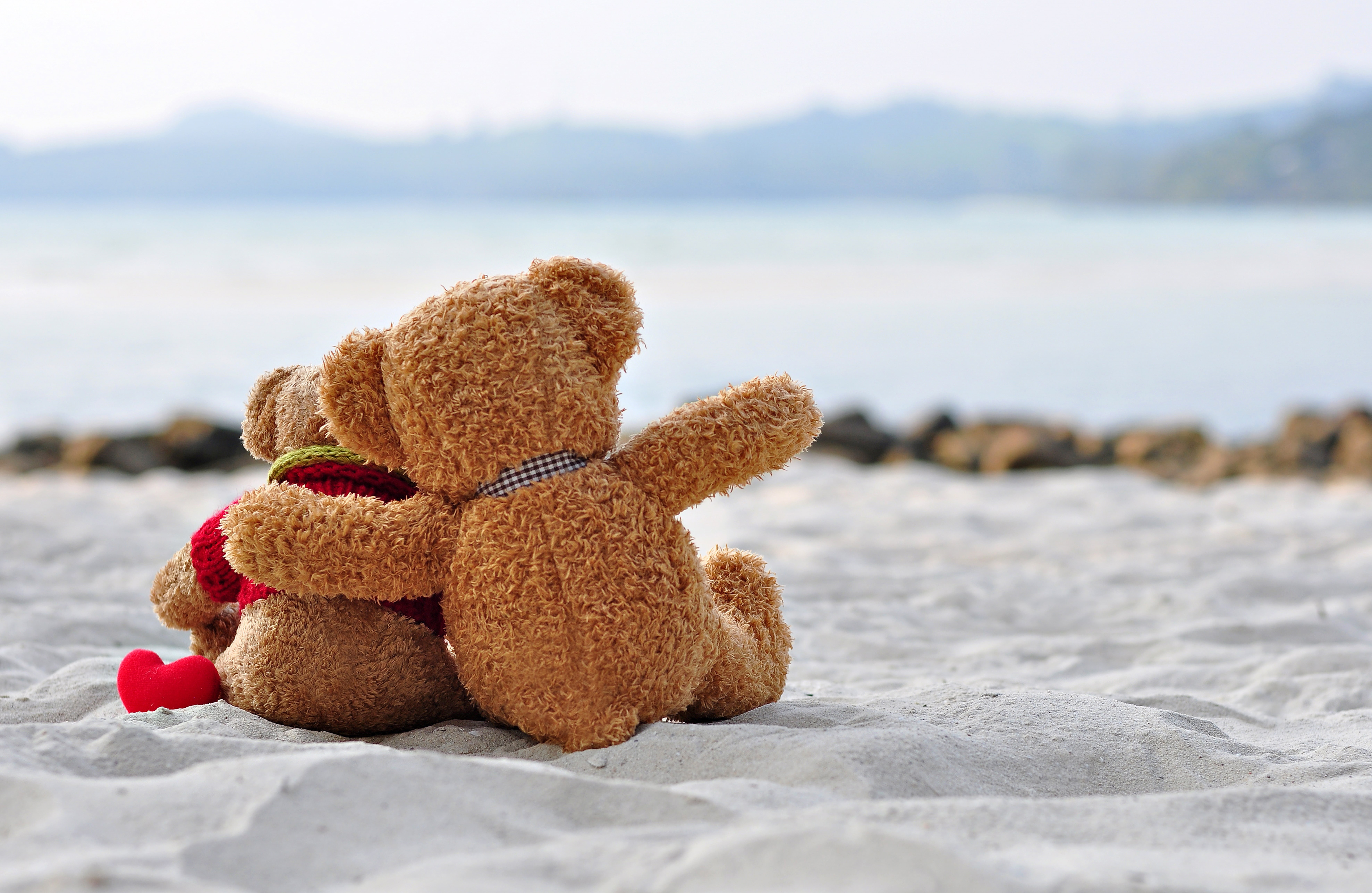 love, romantic, bear, sweet, 8K, toy, Teddy, heart, HD Wallpaper