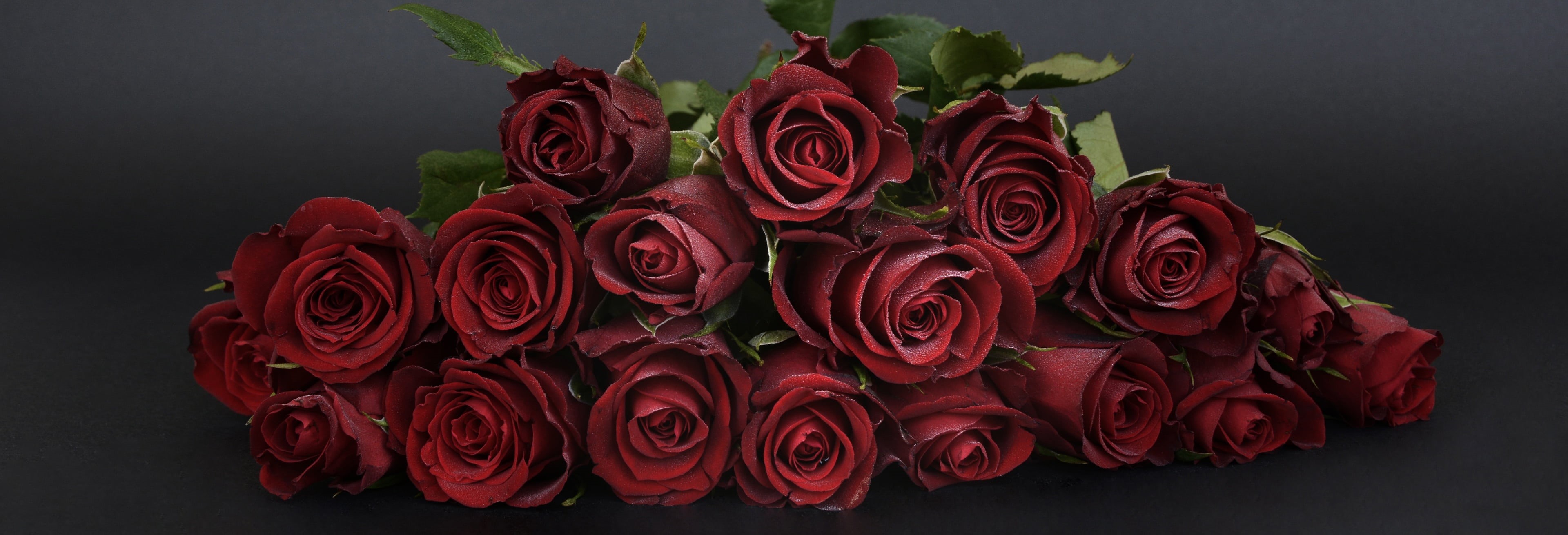 flowers, flower head, backgrounds, nature, no people, bouquet, black background, bouquet of roses, bunch of flowers, rose bloom, header, roses, rose, vulnerability, HD Wallpaper
