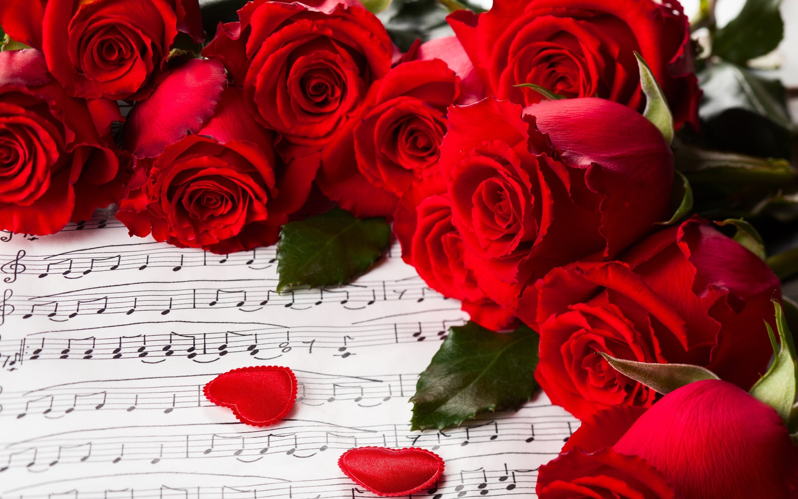 Valentine, Music, Red, Flowers, Roses, Day, 2K, s, HD Wallpaper