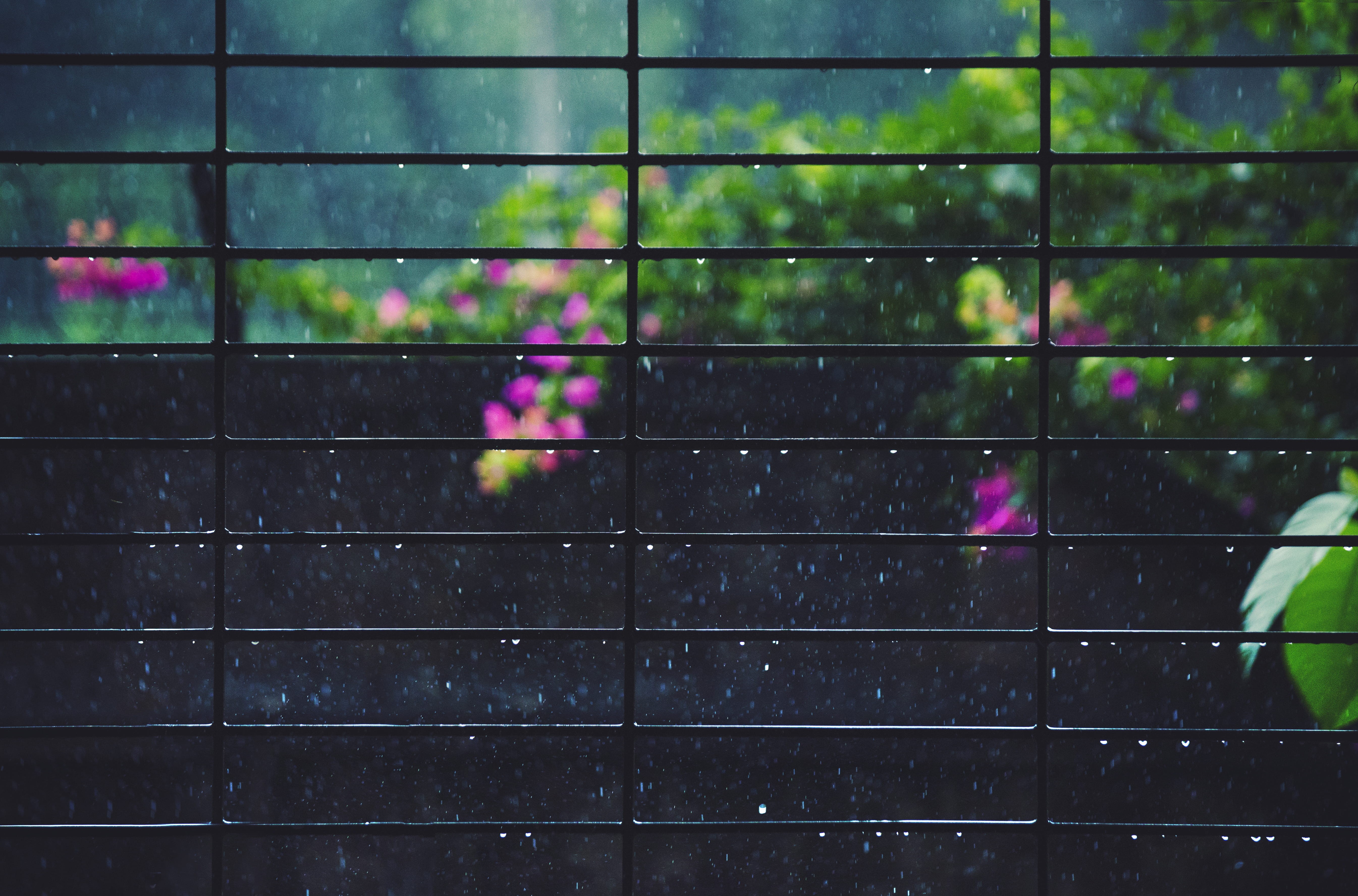 drop, full frame, pattern, outdoors, close-up, multi colored, nature, wet, no people, green color, 5K, water, monsoon, plant, wall - building feature, HD Wallpaper