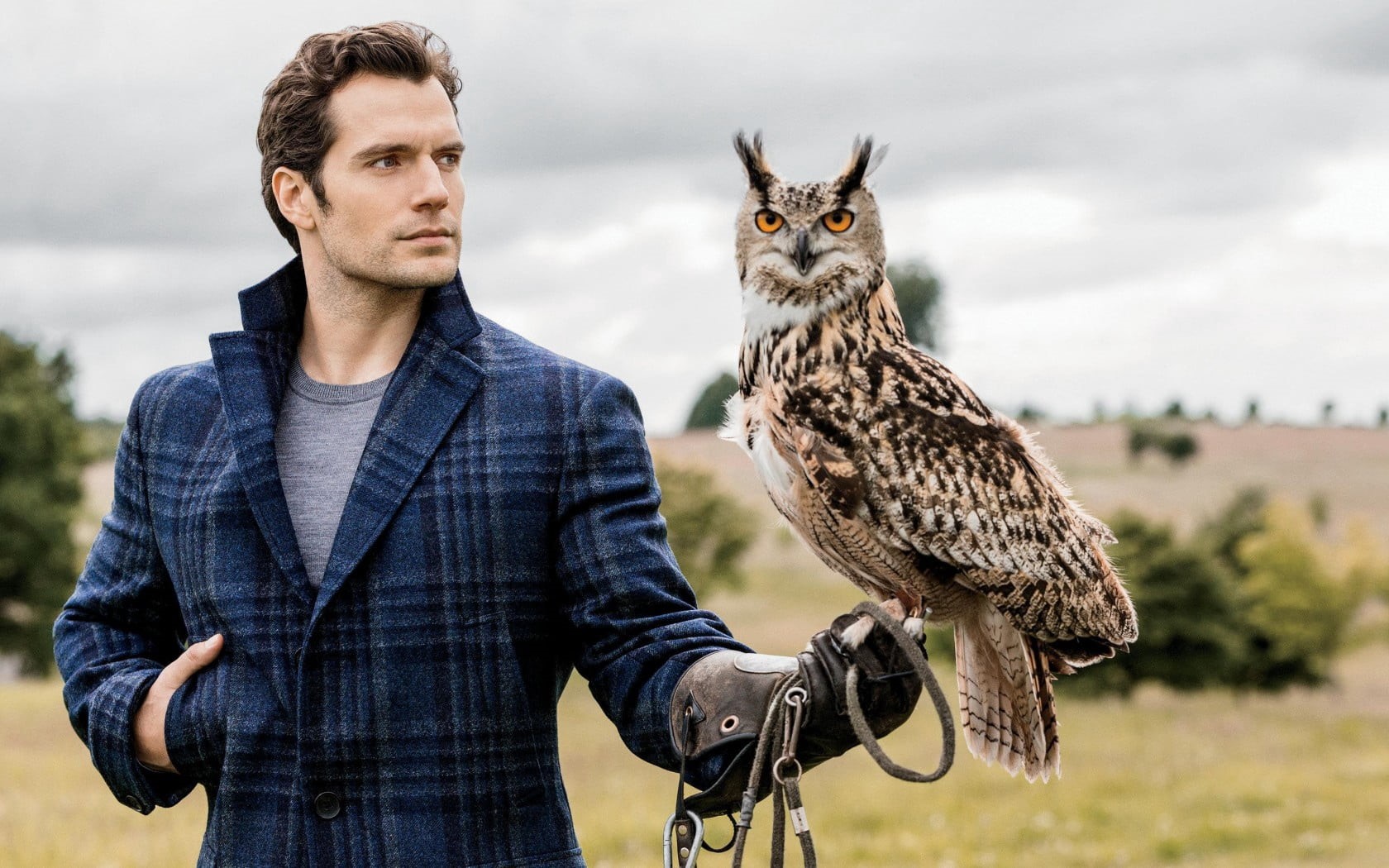 focus on foreground, looking, one animal, one Man Only, field, 720P, standing, animals in the wild, agriculture, actor, day, photoshoot, outdoors, grass, HD Wallpaper