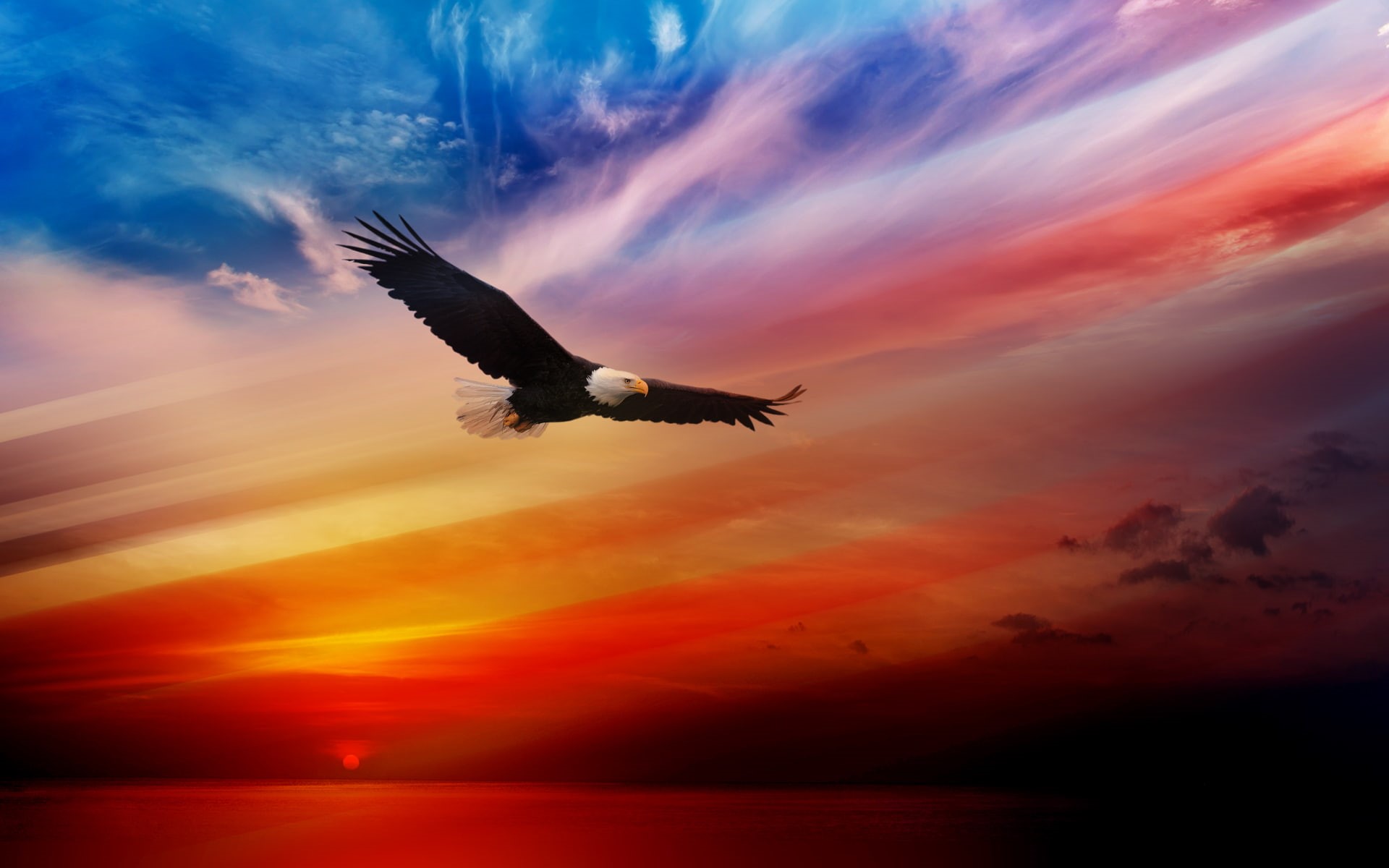 bird, july, th, sunset, 1080P, bald, 4th, independence, eagle, animals, hd, day, HD Wallpaper
