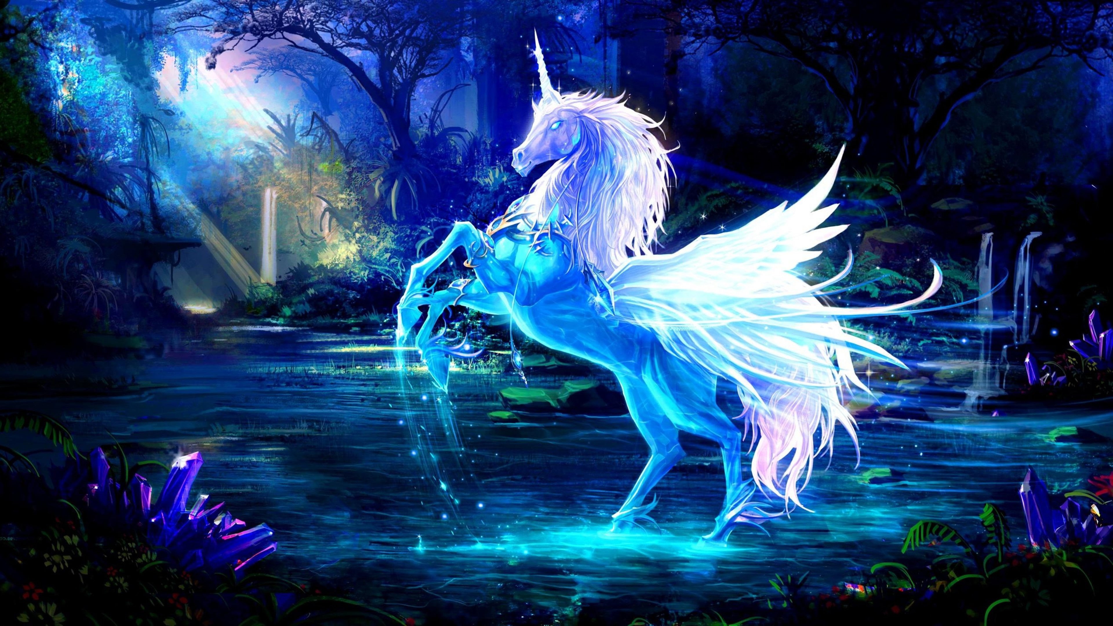 animals in the wild, marine, fantasy, long exposure, glowing, blue, flowing, illuminated, sea, water, plant, nature, hd, motion, no people, HD Wallpaper