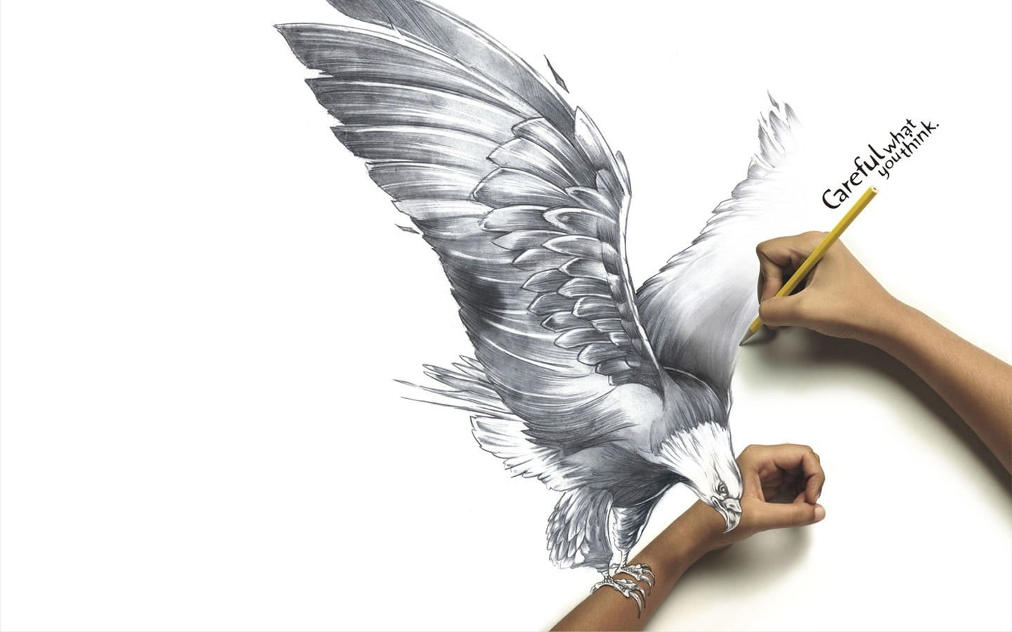 white background, drawing, hand, human body part, text, flying, animal wildlife, copy space, finger, vertebrate, holding, indoors, human hand, studio shot, HD Wallpaper